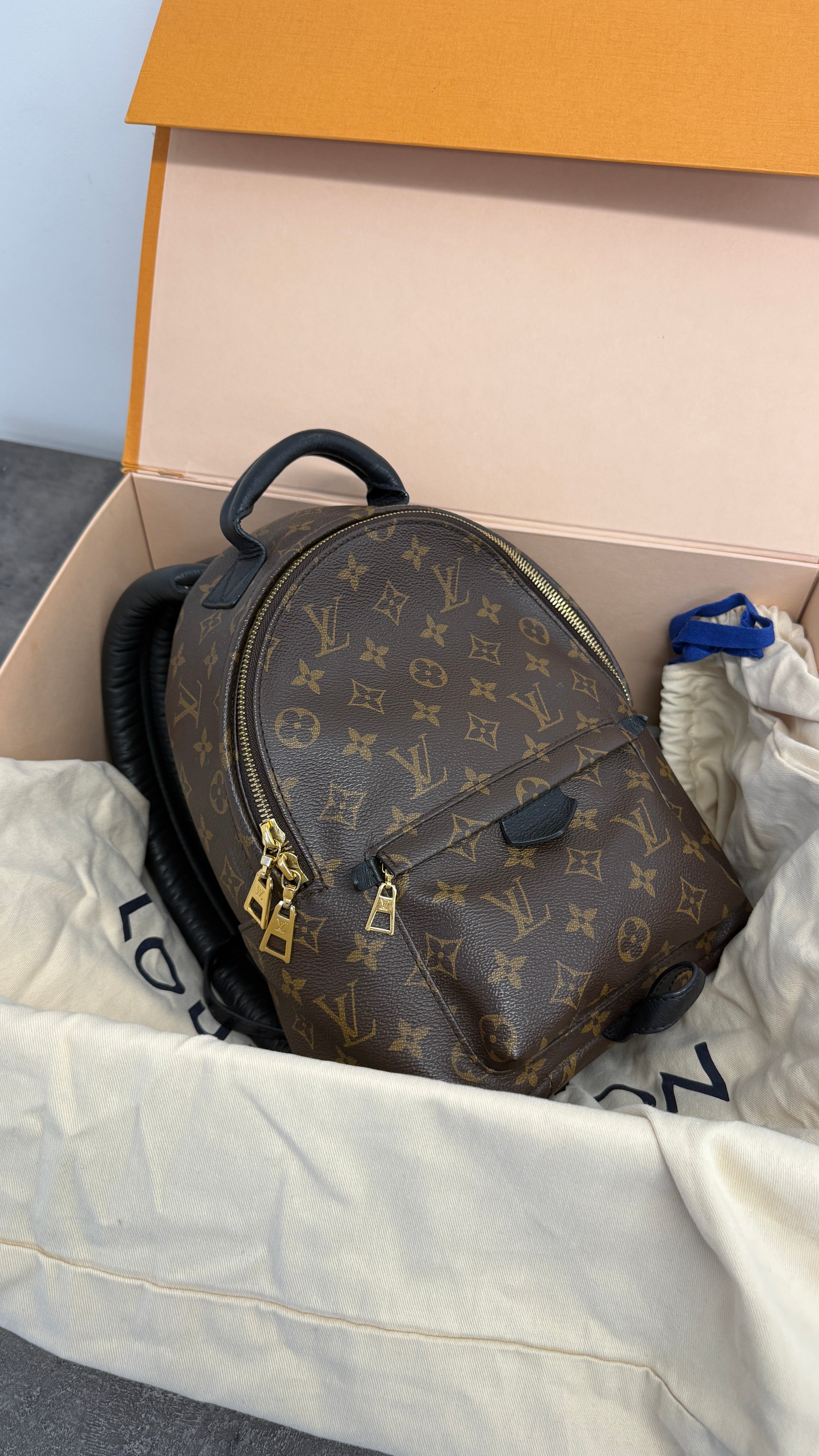 Women's Monogram Palm Springs Pm Backpack Brown