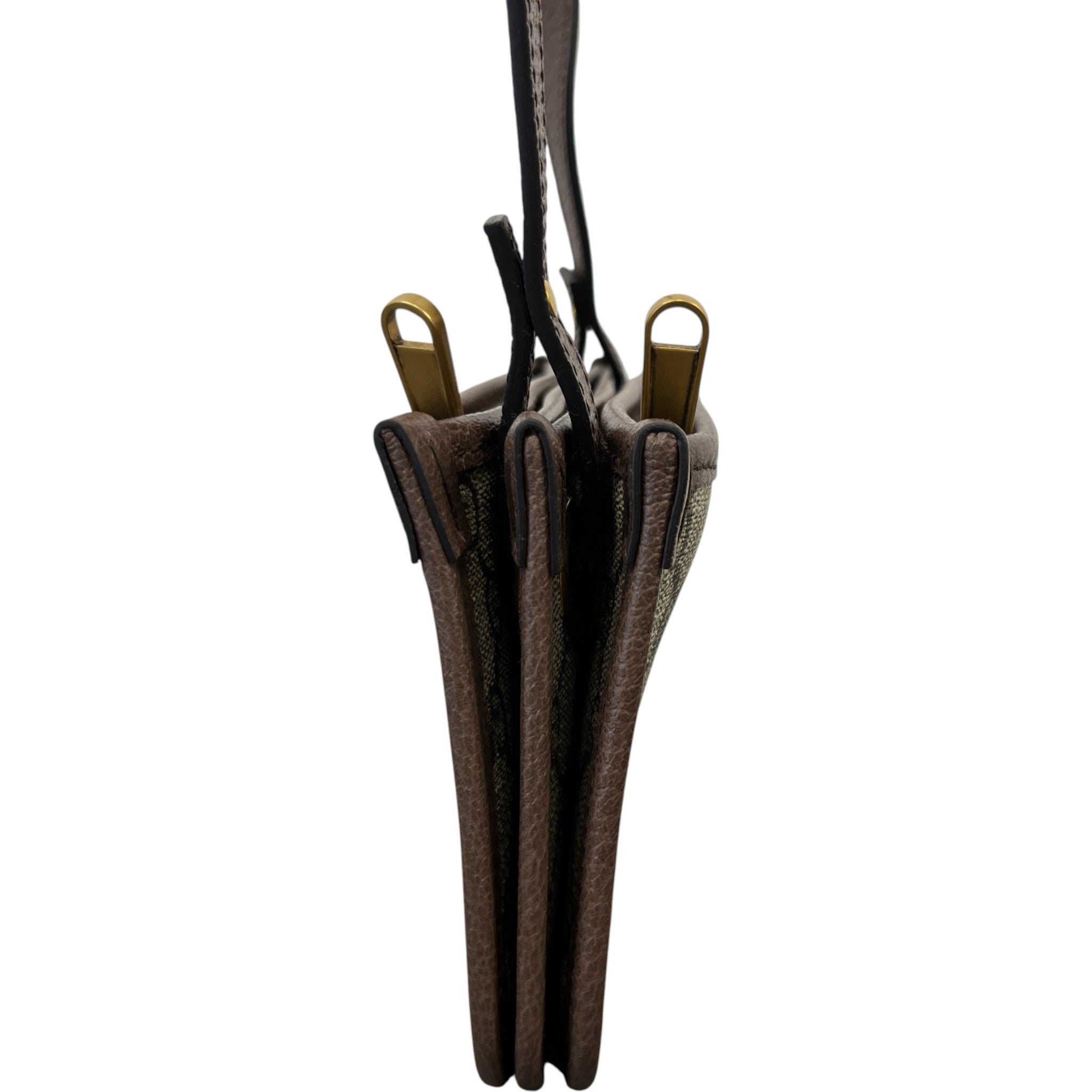 Women's Gg Ophidia Canvas Mini Bag Brown