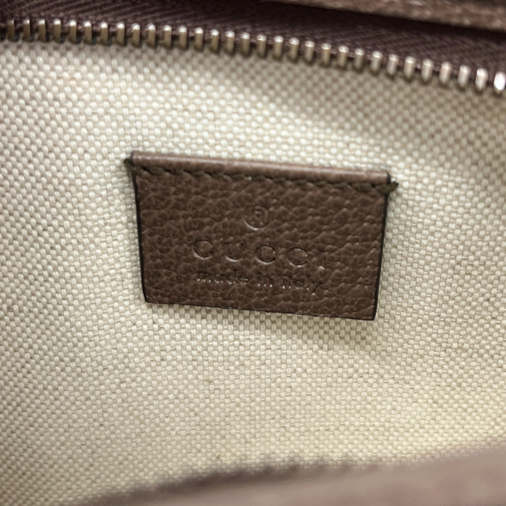 Women's Gg Ophidia Canvas Mini Bag Brown