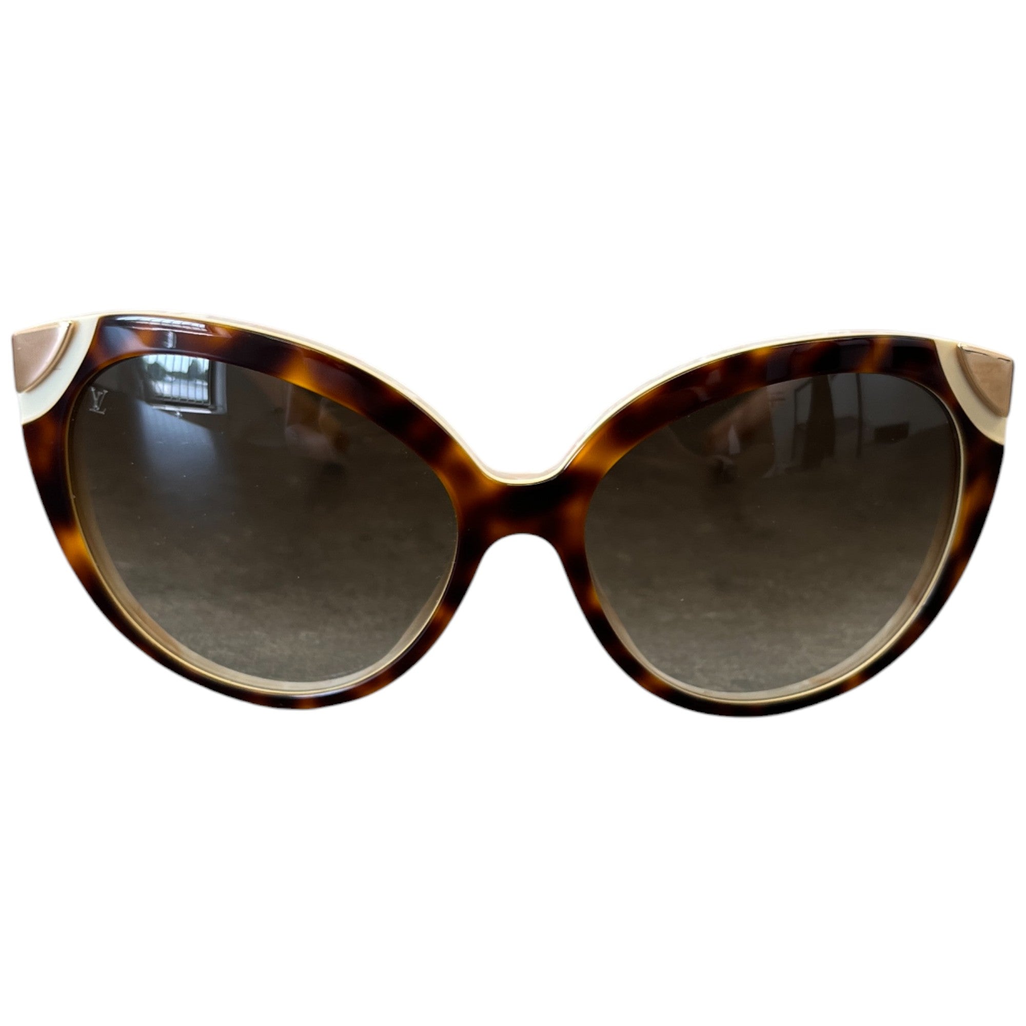 Women's Z0854W Cateye Sunglasses Brown