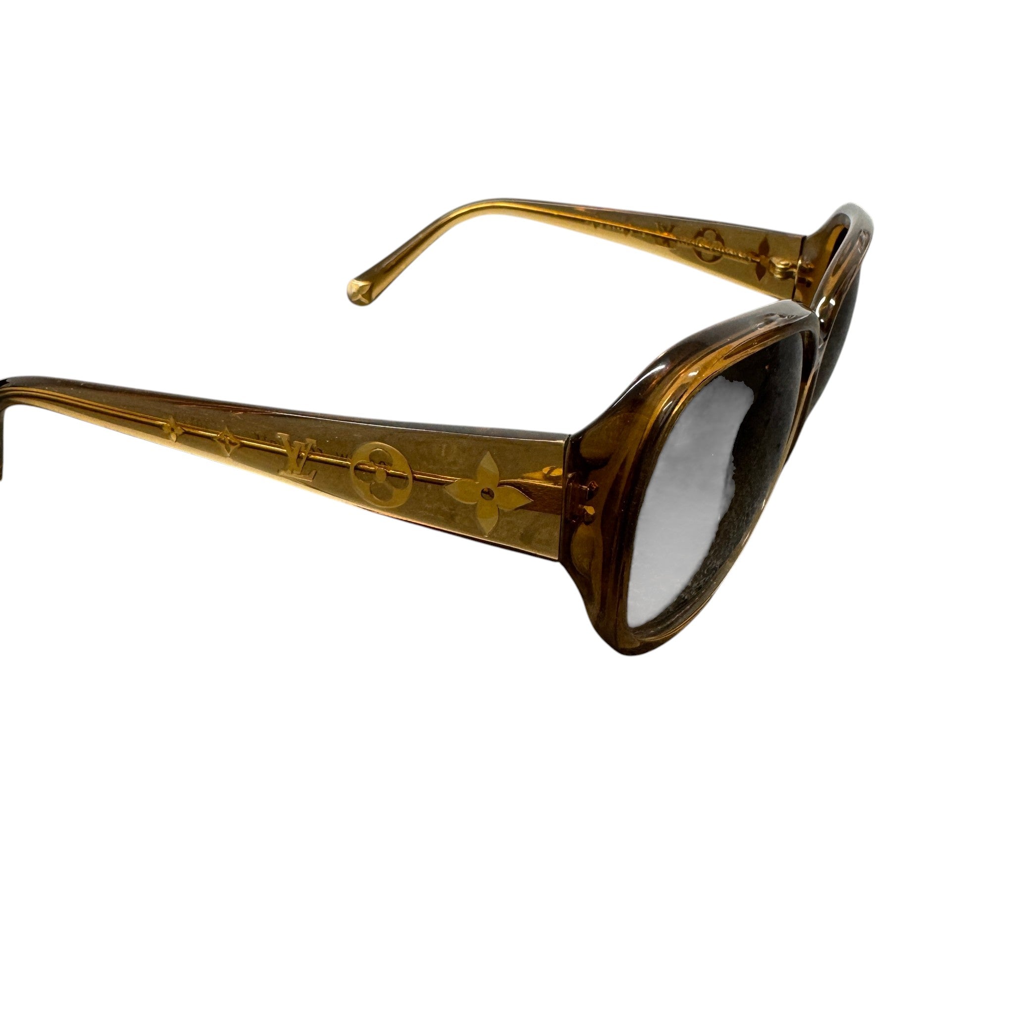 Women's Acetate Obsession Sunglasses Brown
