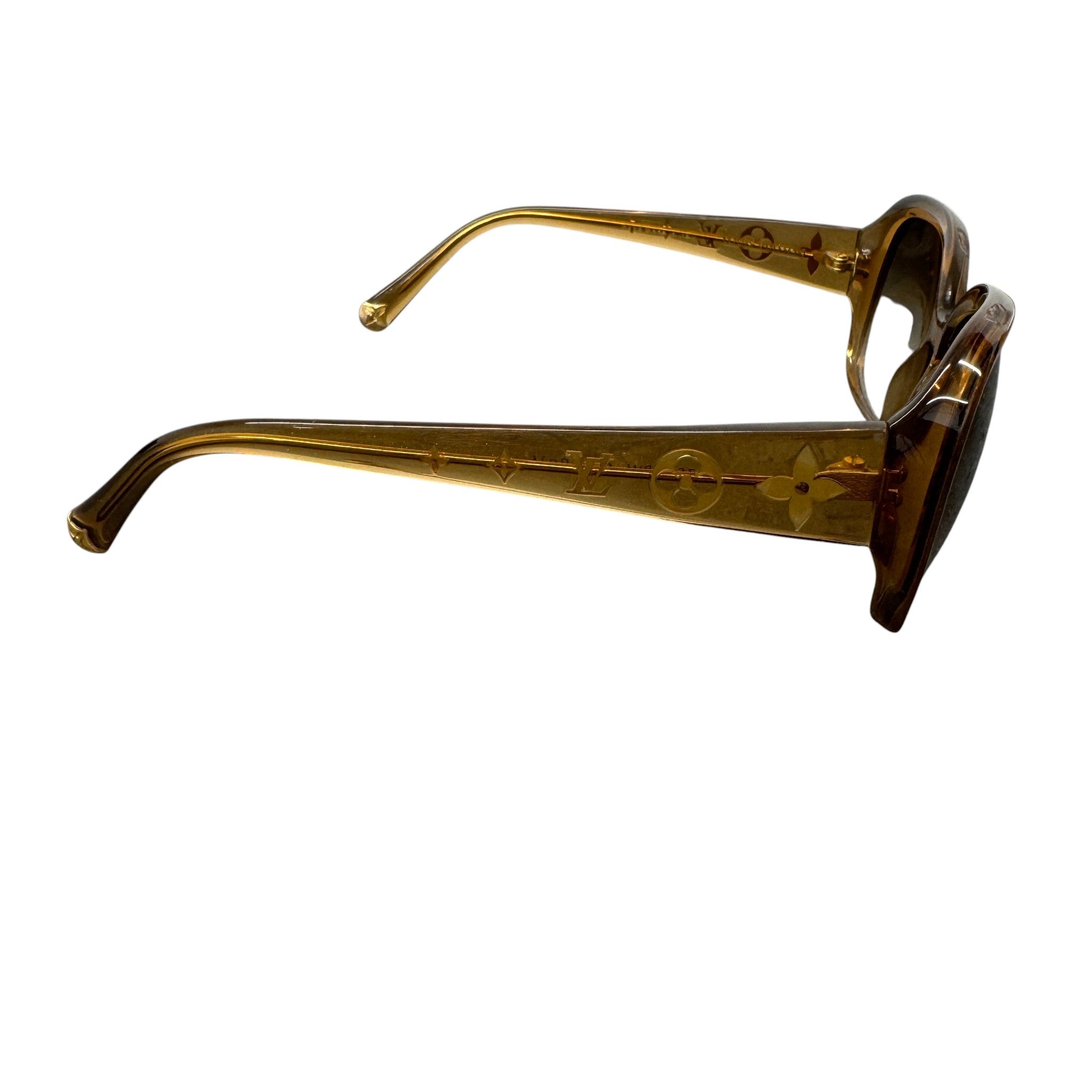 Women's Acetate Obsession Sunglasses Brown