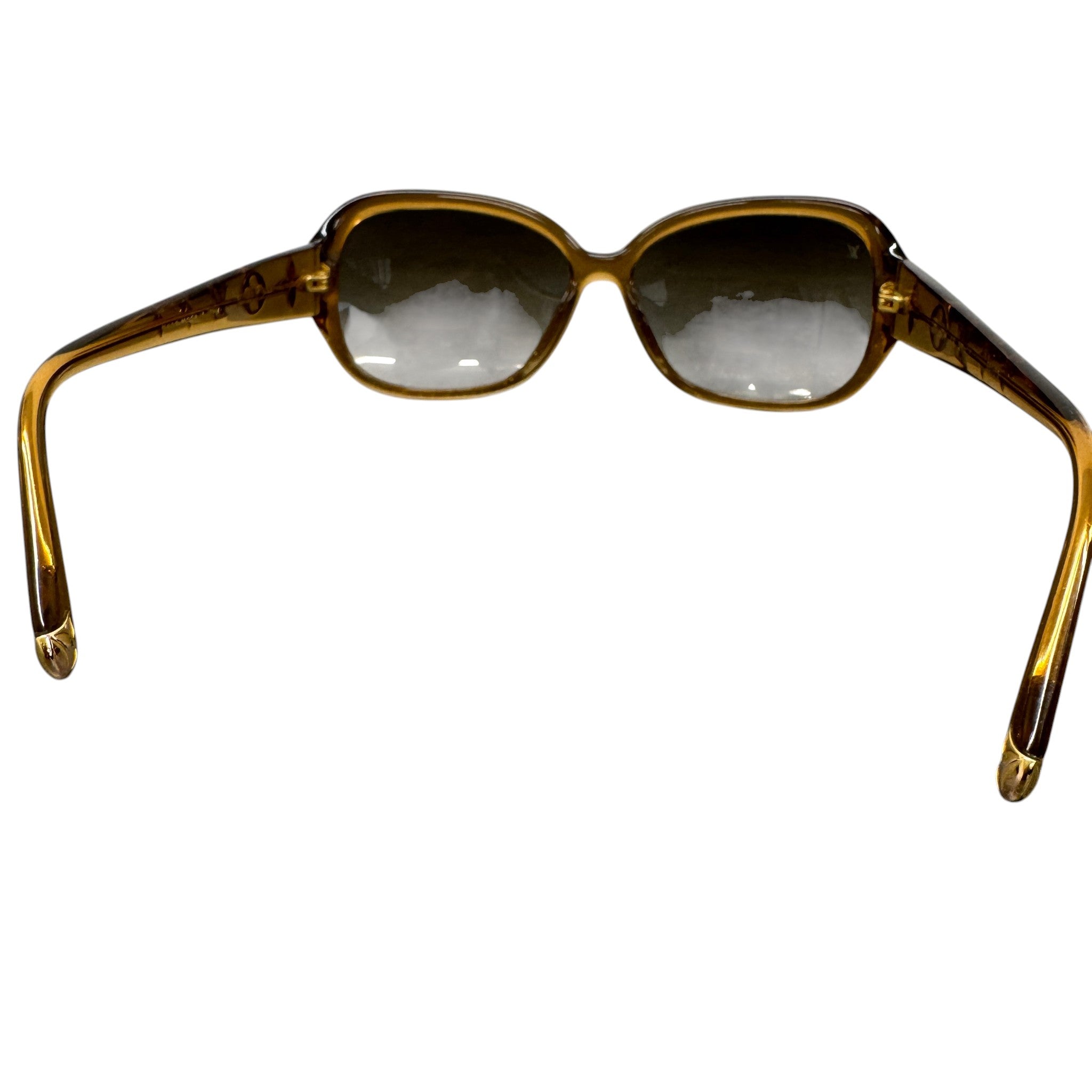 Women's Acetate Obsession Sunglasses Brown