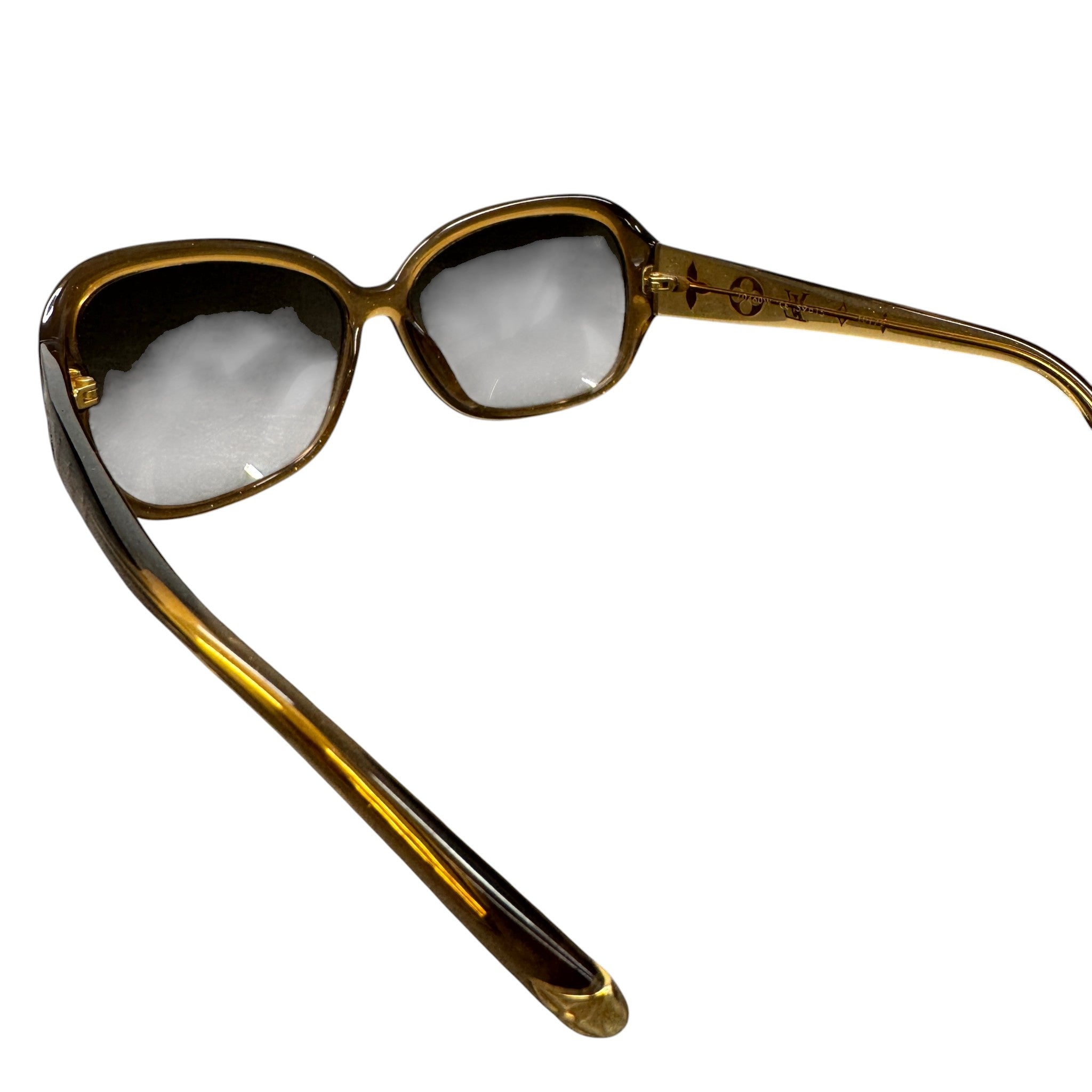 Women's Acetate Obsession Sunglasses Brown