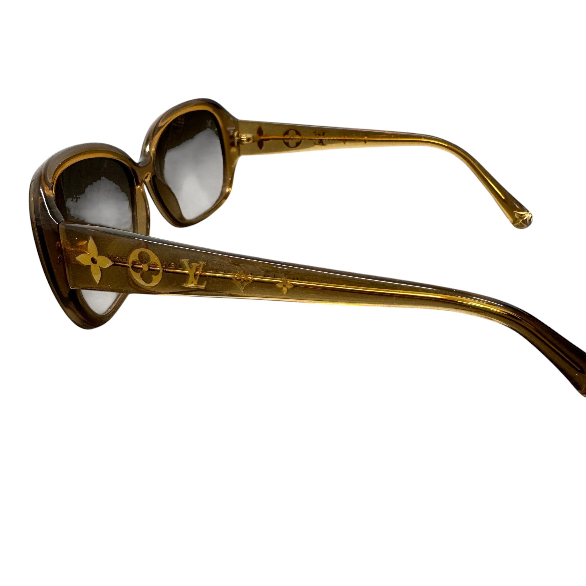 Women's Acetate Obsession Sunglasses Brown