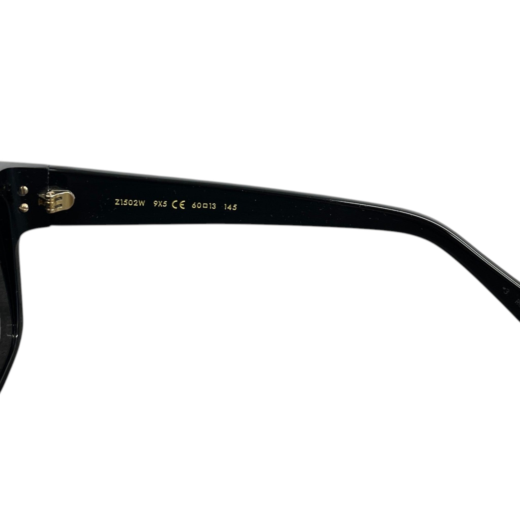 Men's Z1502W Evidence Sunglasses Black
