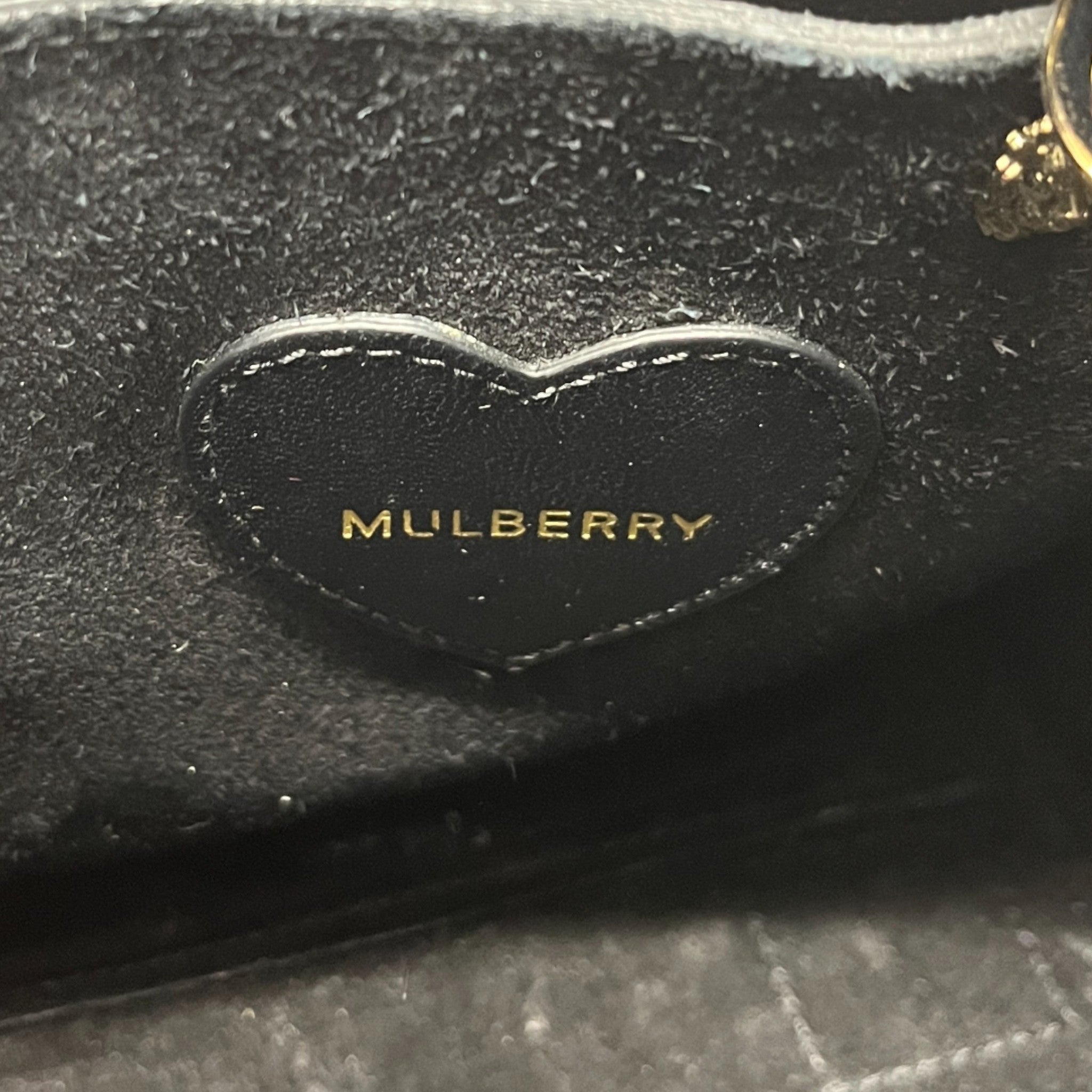 Women's Cara Delevingne Backpack Handbag Black