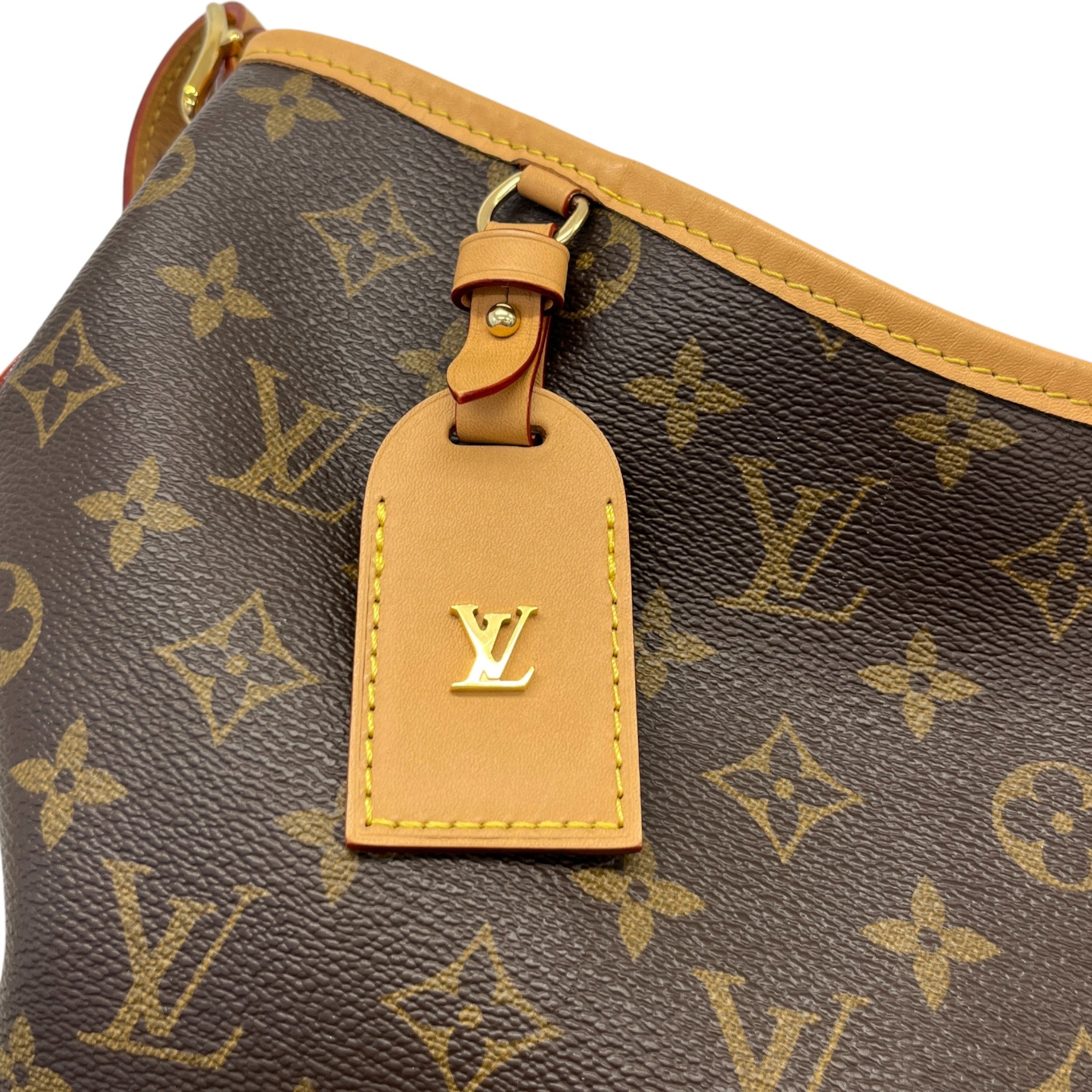 Women's Monogram Carryall Mm Handbag Brown