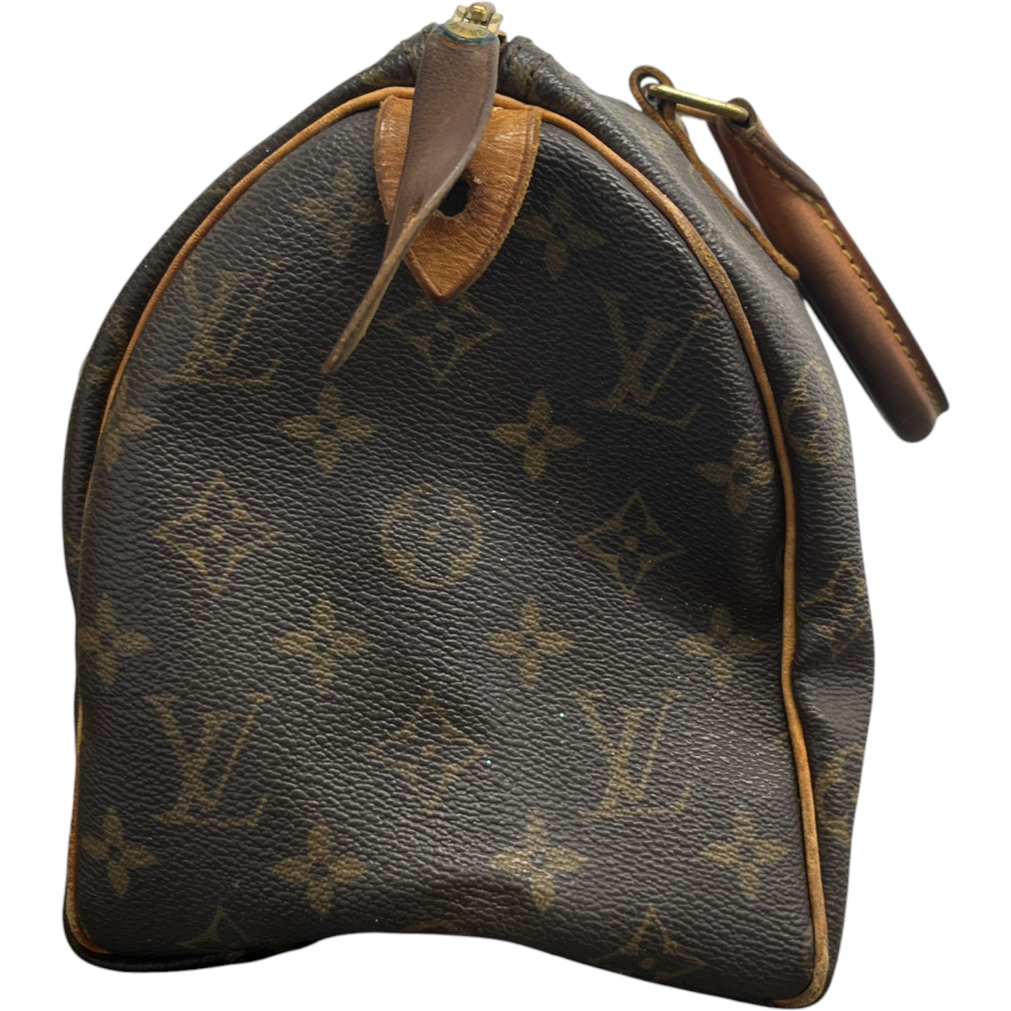 Men's Monogram Speedy 25 Bag Brown