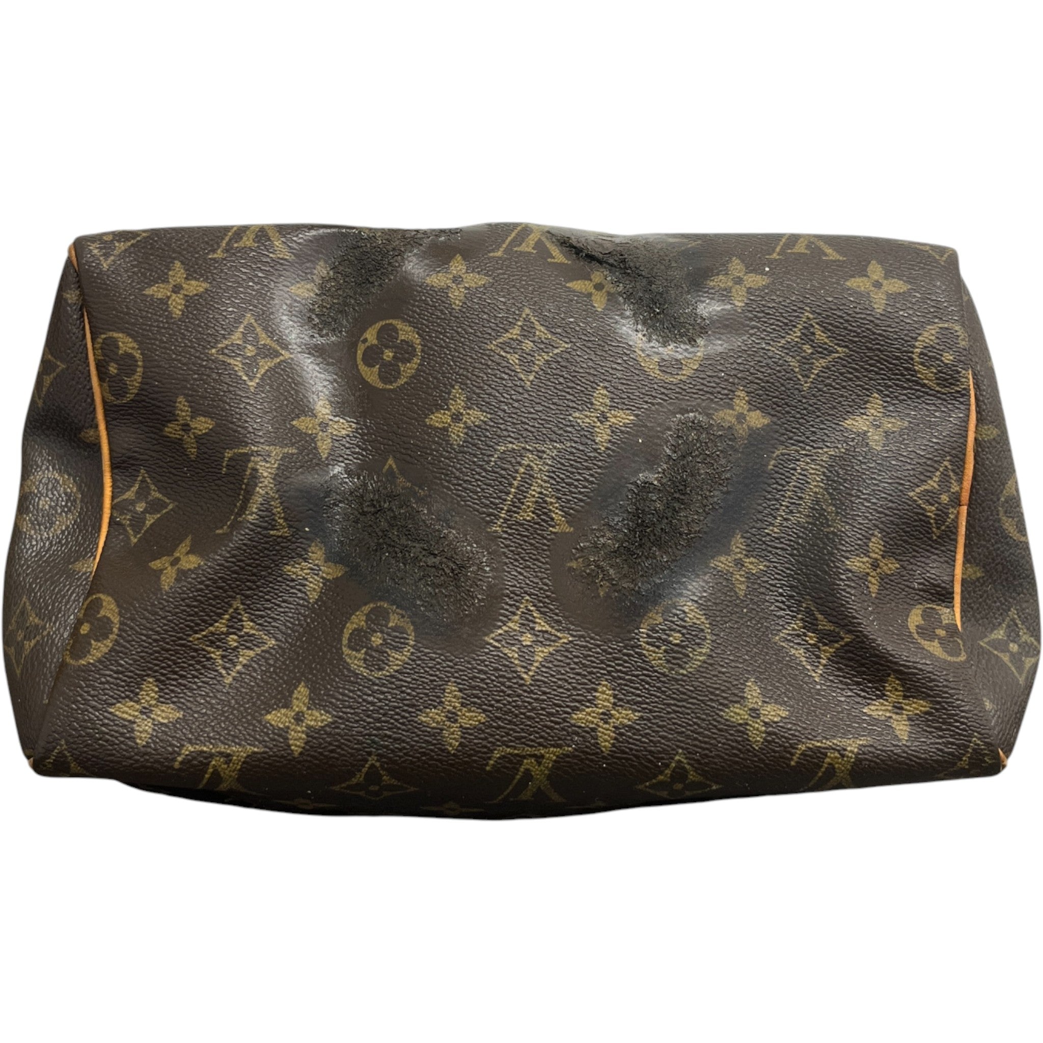 Men's Monogram Speedy 25 Bag Brown