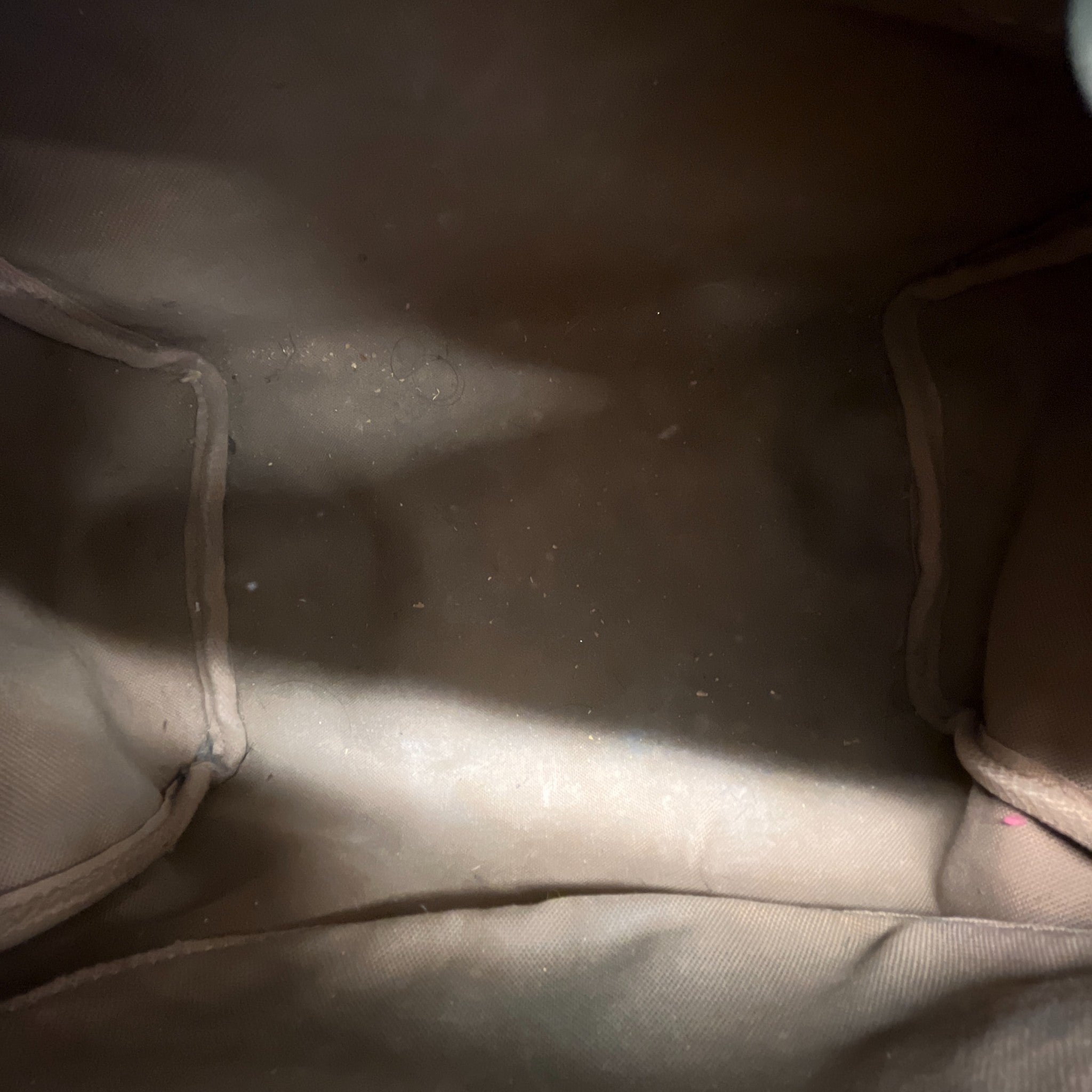 Men's Monogram Speedy 25 Bag Brown