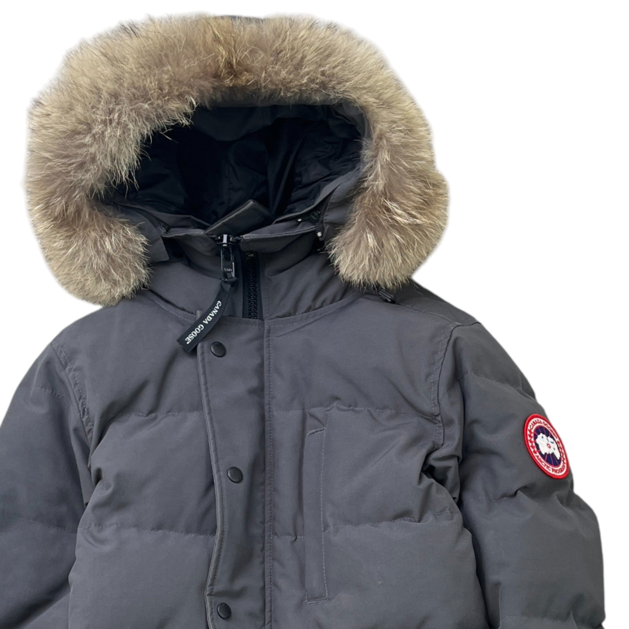 Men's Carson Parka Down Jacket Grey Size XS