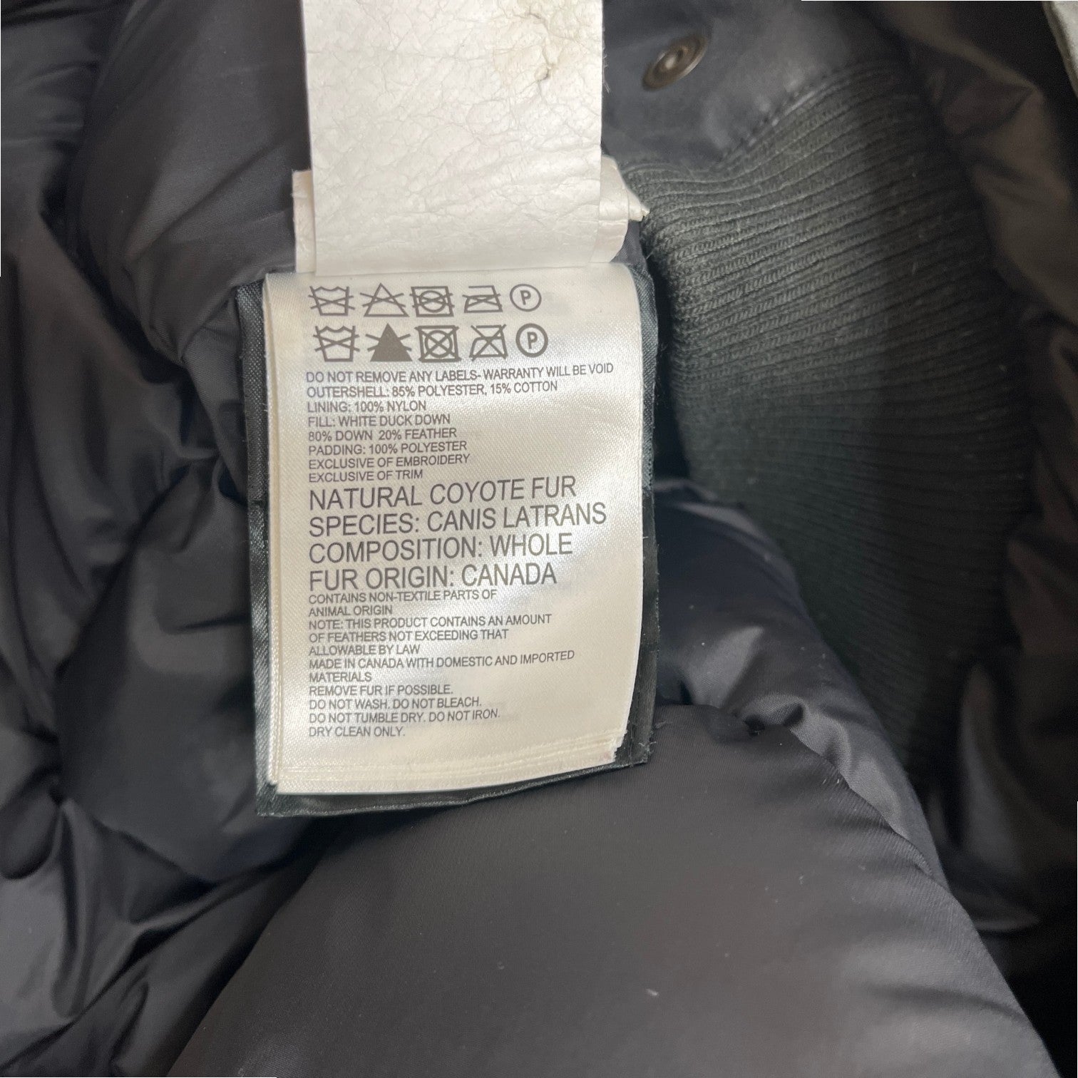 Men's Chilliwack Bomber Down Jacket Black Size L
