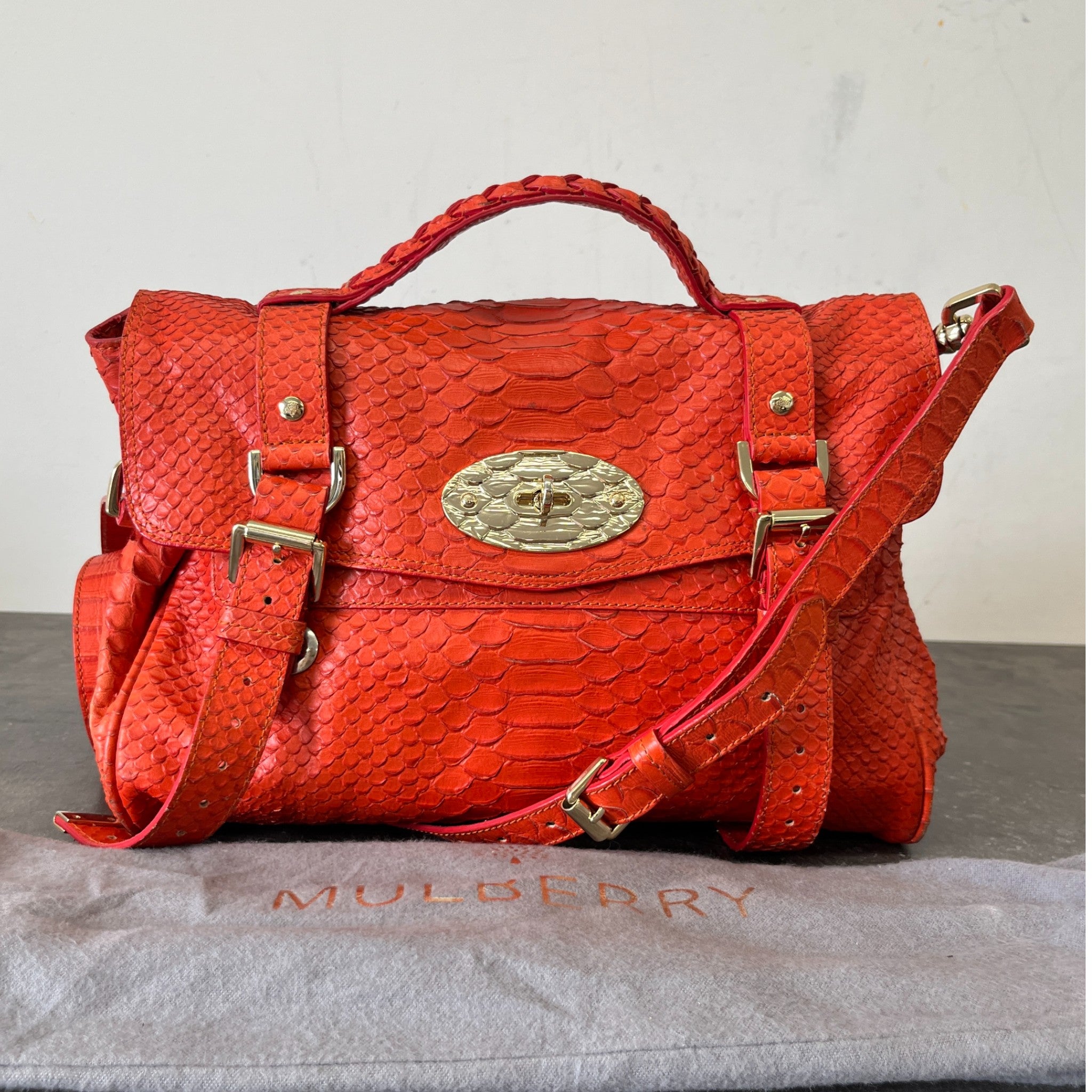 Women's Alexia Python Handbag Burnt Orange