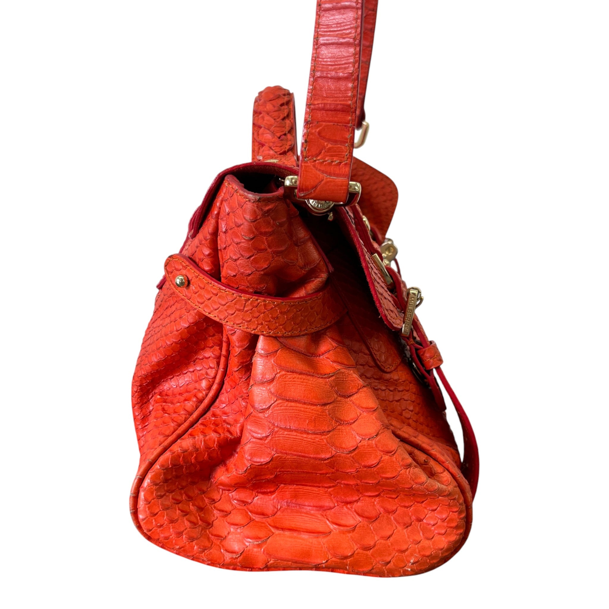 Women's Alexia Python Handbag Burnt Orange