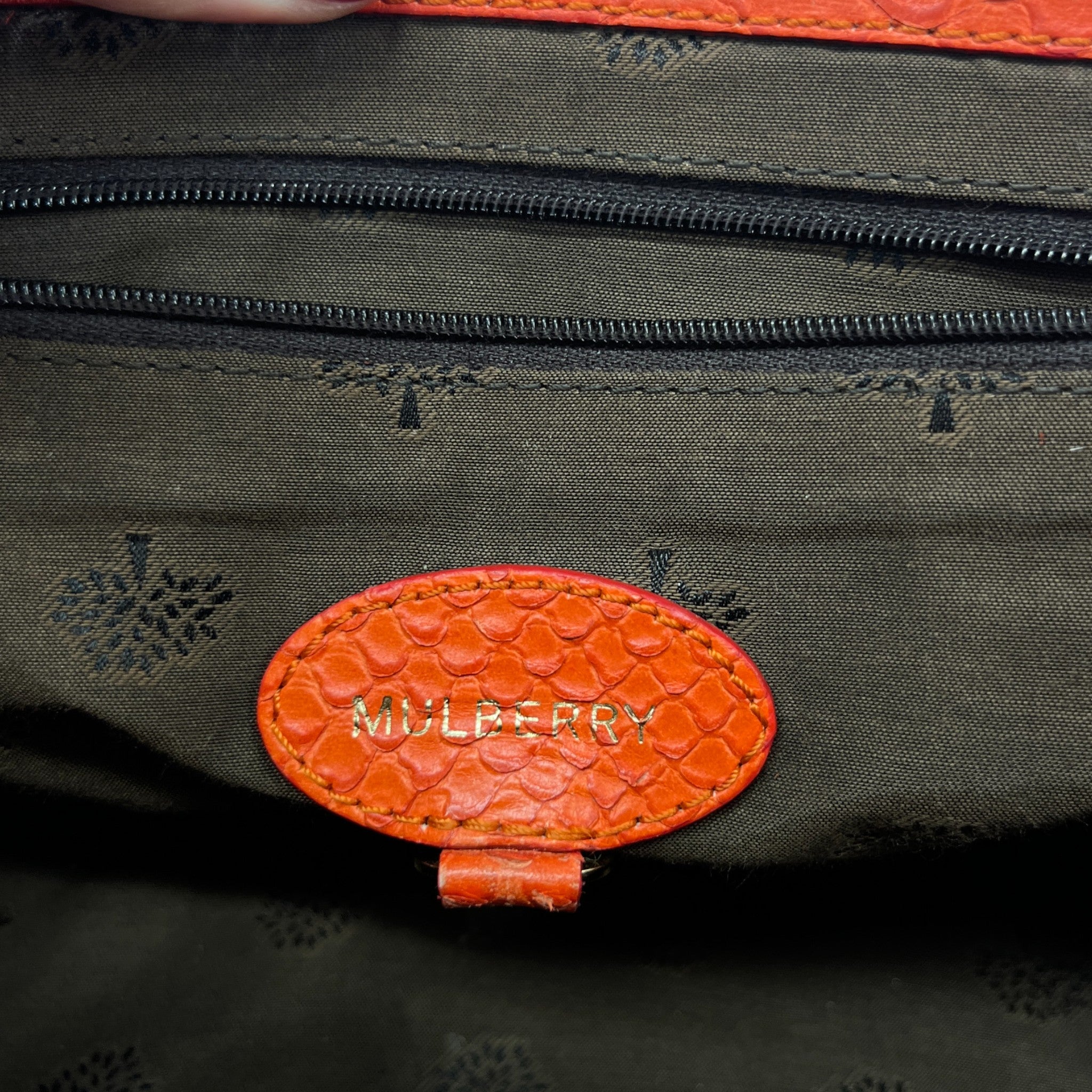 Women's Alexia Python Handbag Burnt Orange