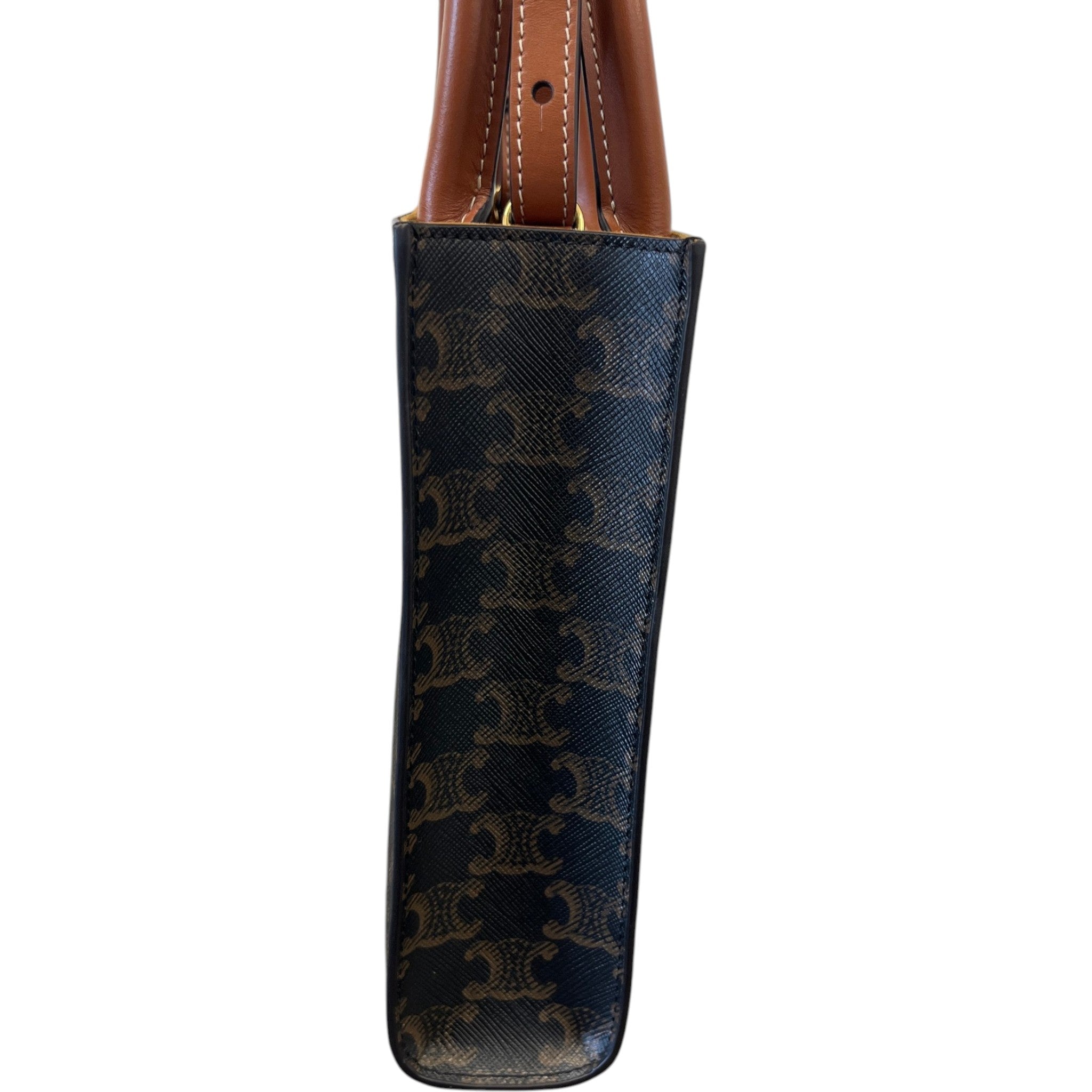 Women's Mini Vertical Cabas Bag Brown