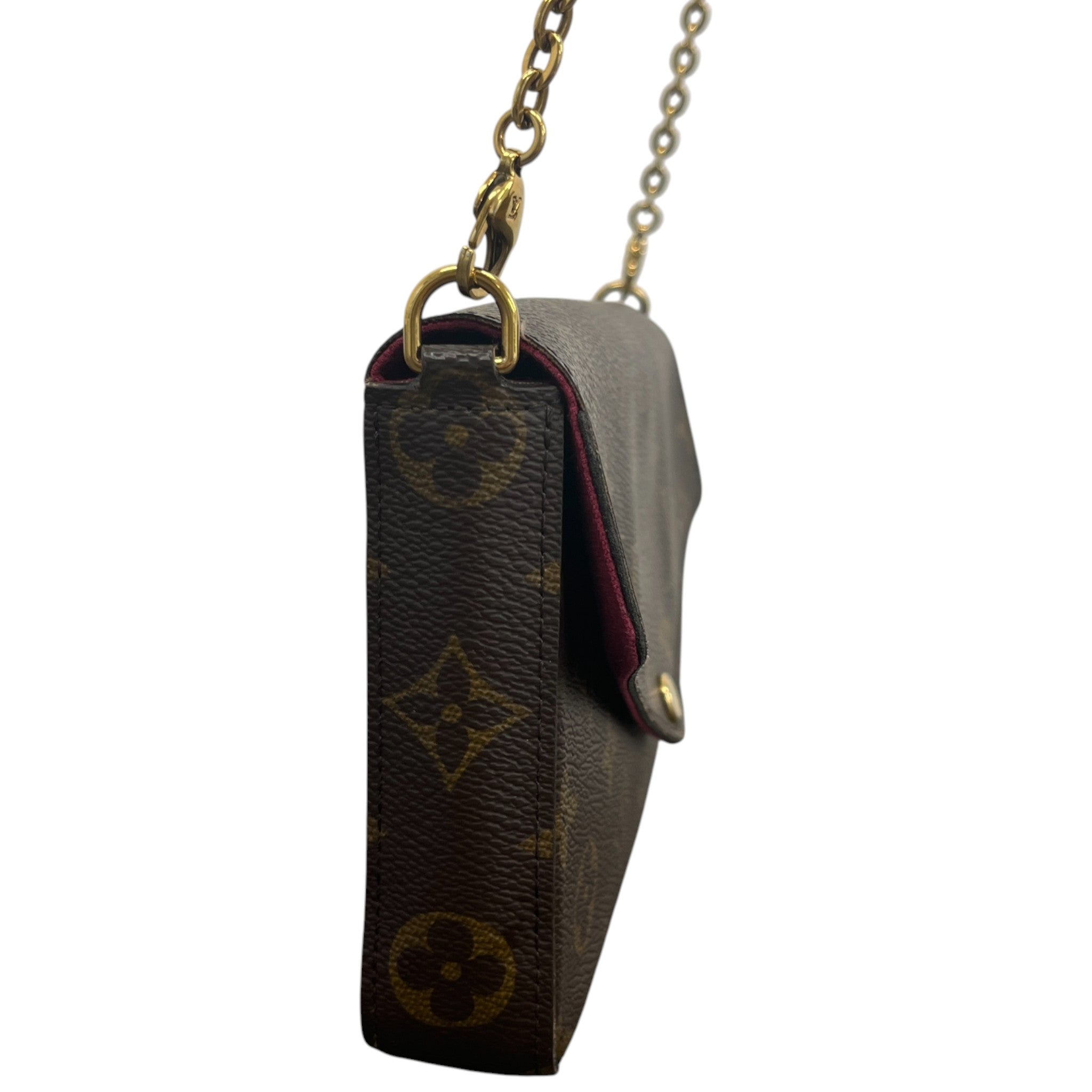 Women's Monogram Félicie Pochette Bag Brown