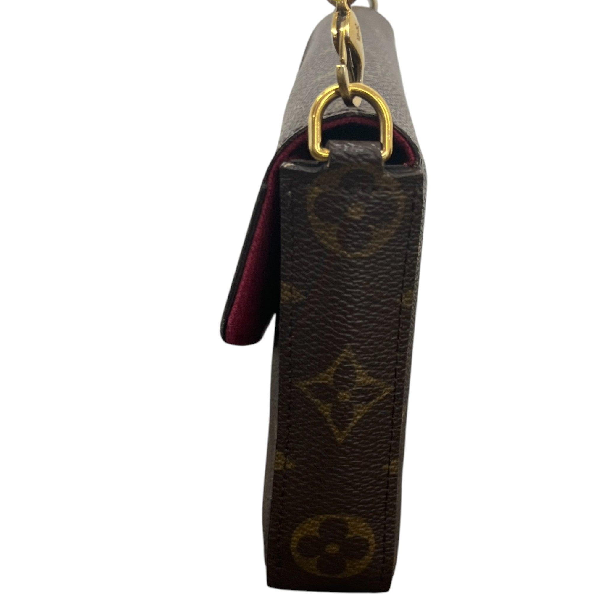 Women's Monogram Félicie Pochette Bag Brown