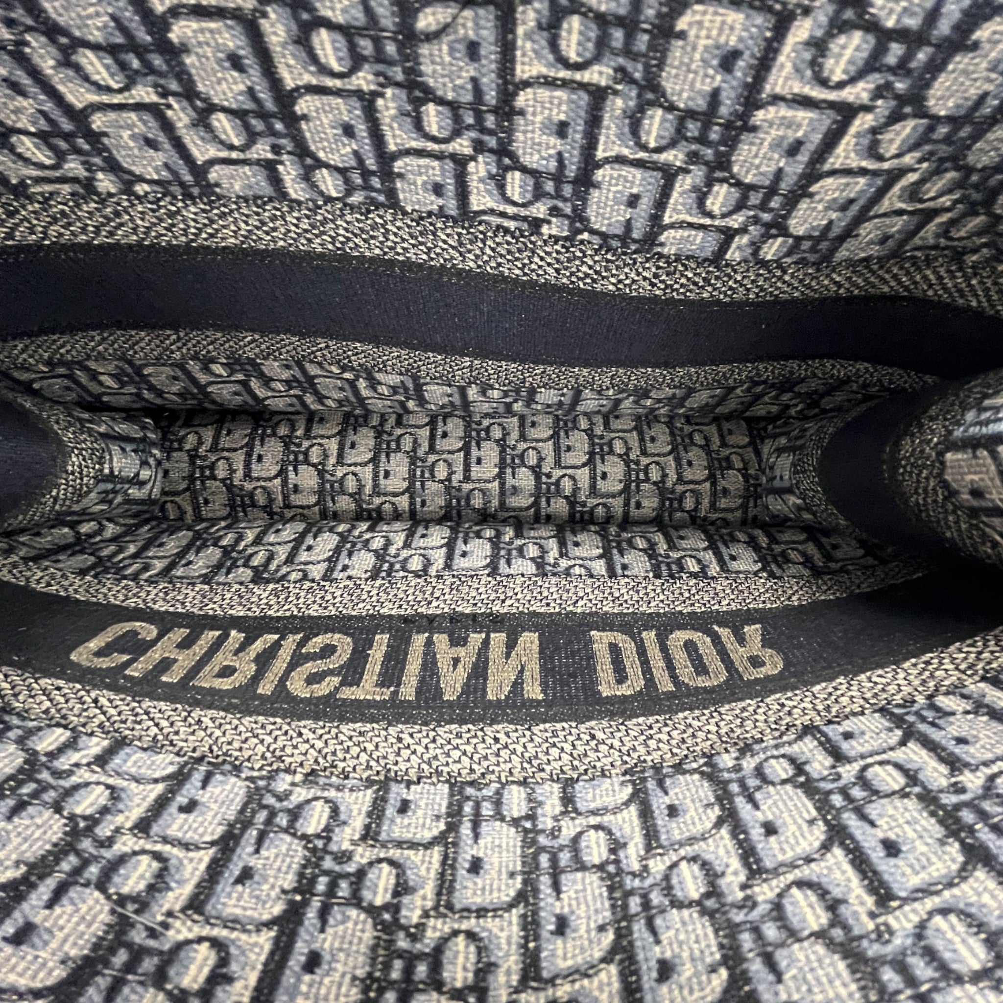 Women's Large Dior Book Tote Bag Blue