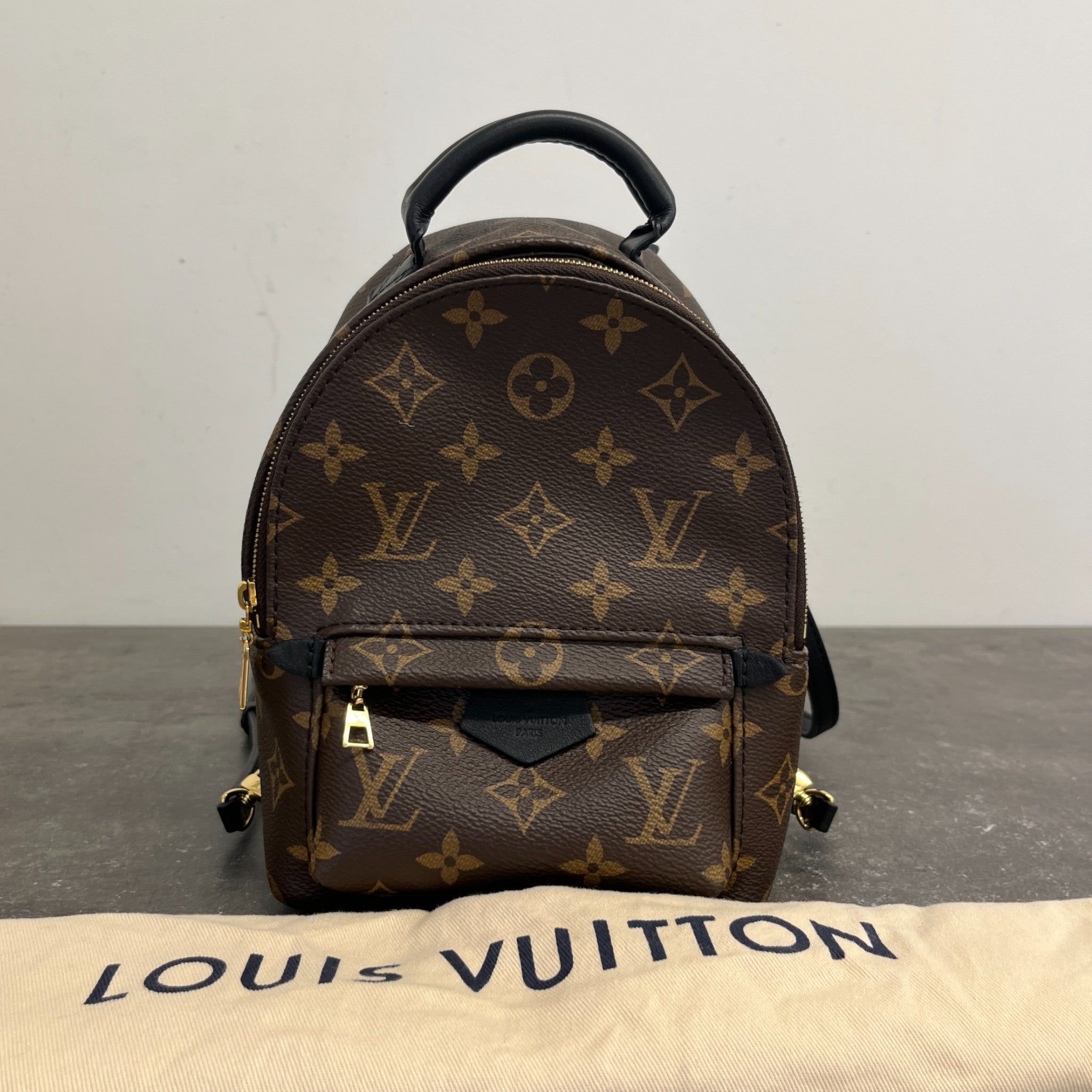 Women's Monogram Palm Springs Mini Backpack Brown