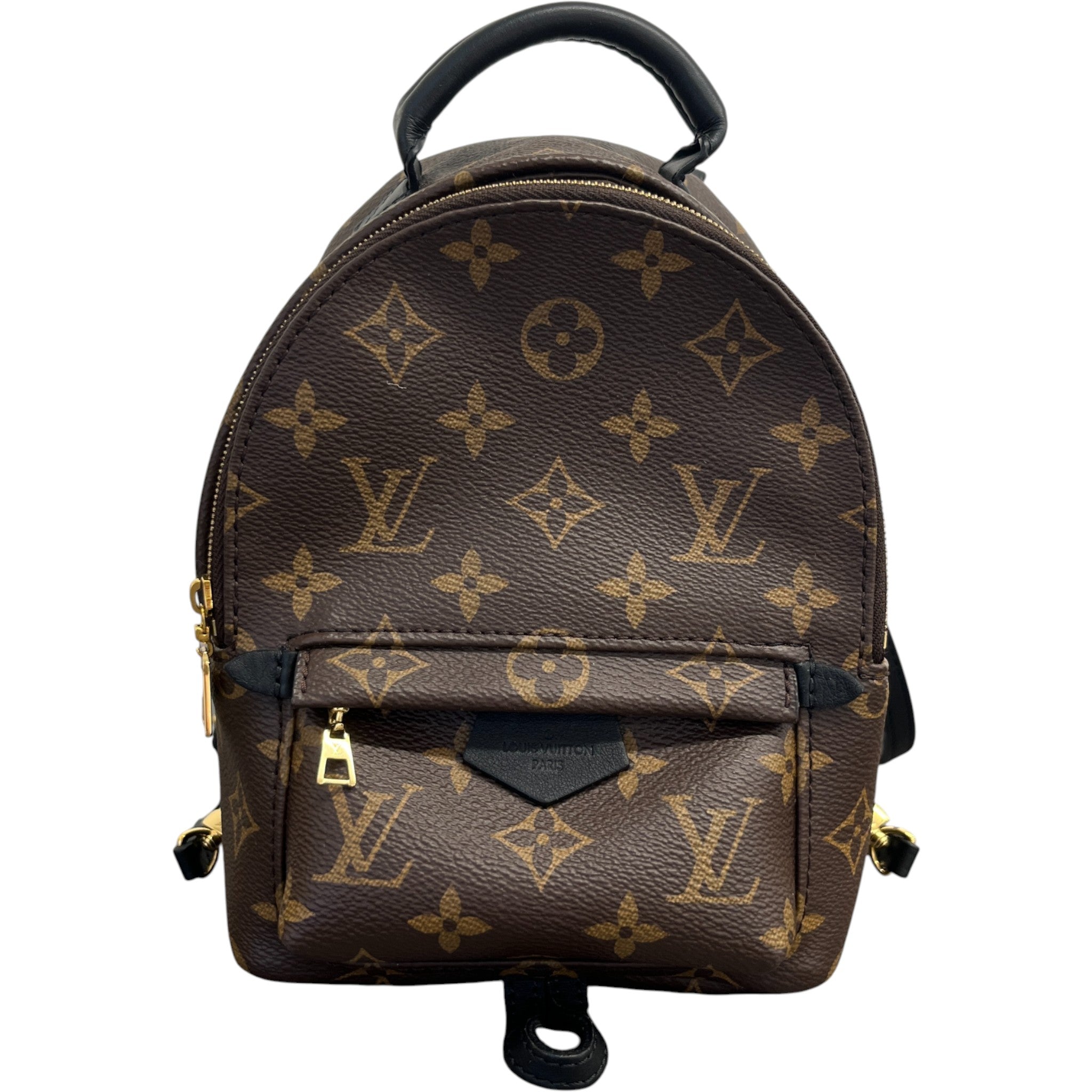 Women's Monogram Palm Springs Mini Backpack Brown