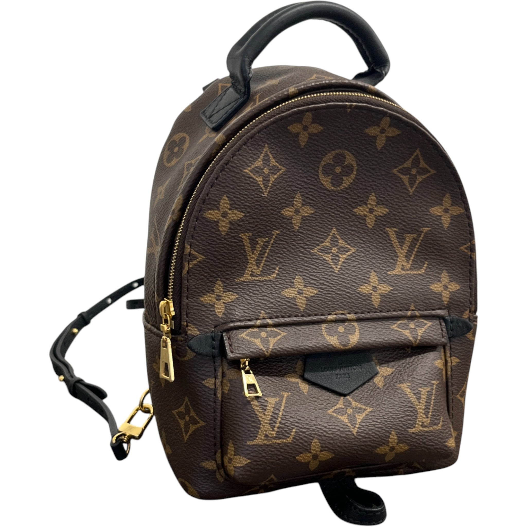 Women's Monogram Palm Springs Mini Backpack Brown