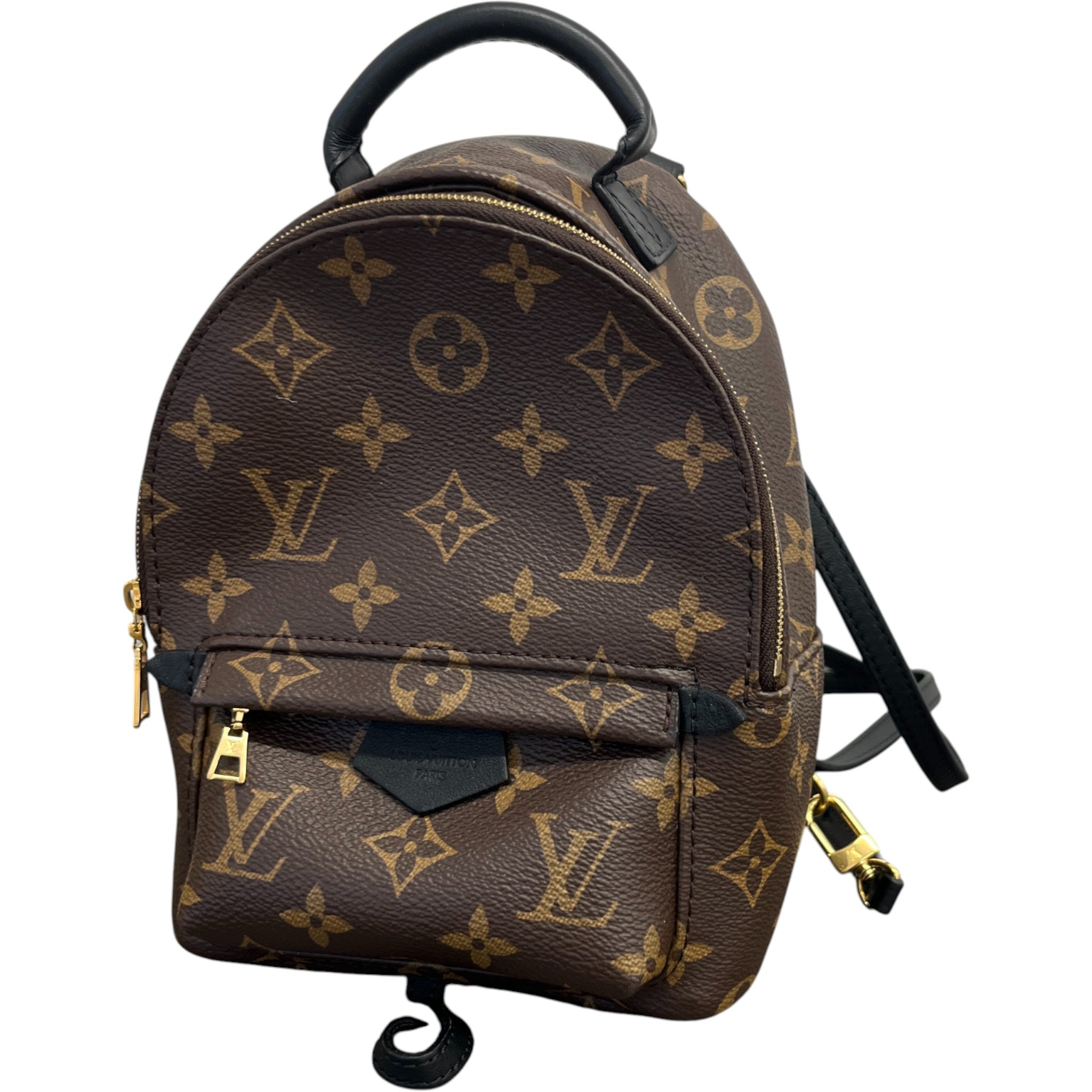 Women's Monogram Palm Springs Mini Backpack Brown