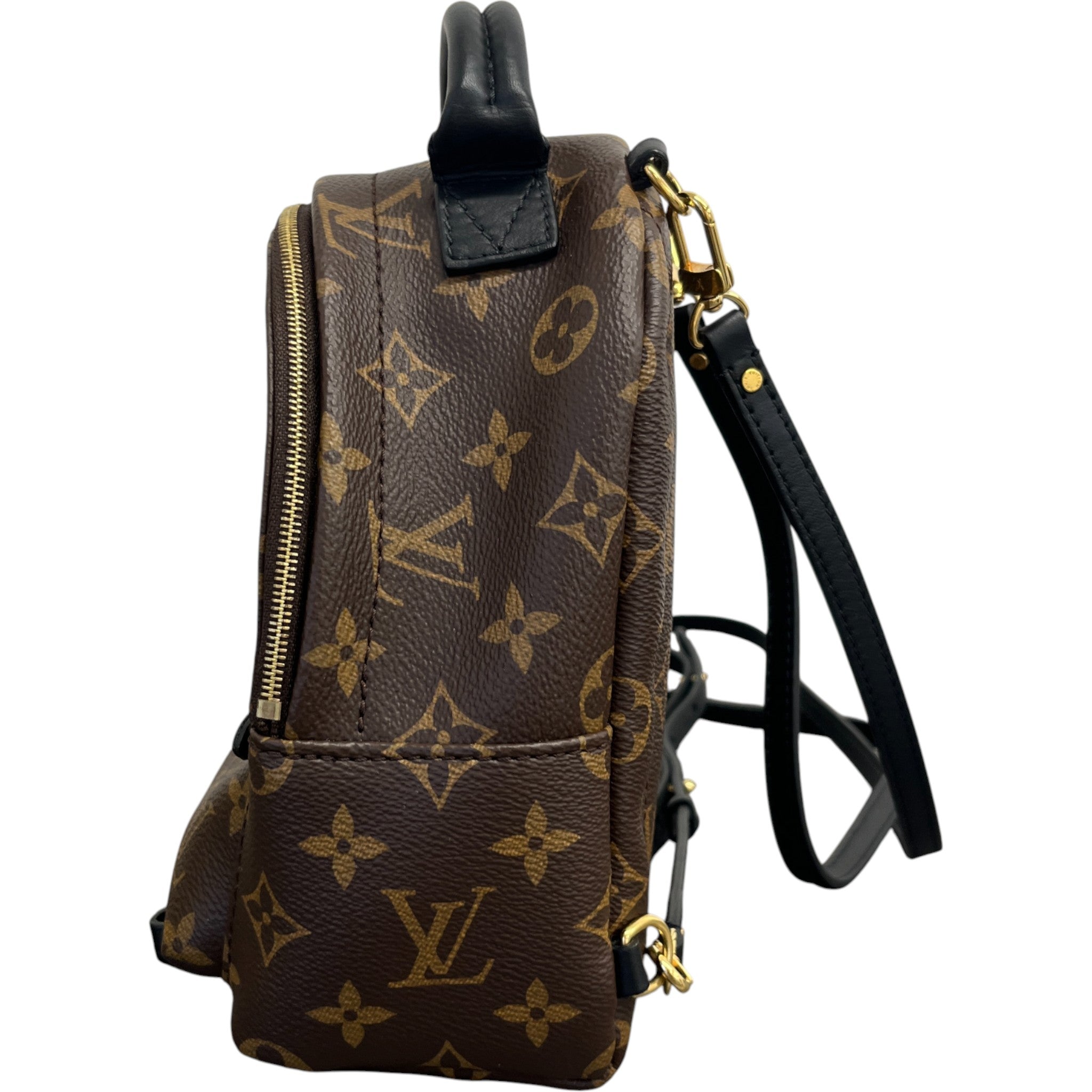 Women's Monogram Palm Springs Mini Backpack Brown