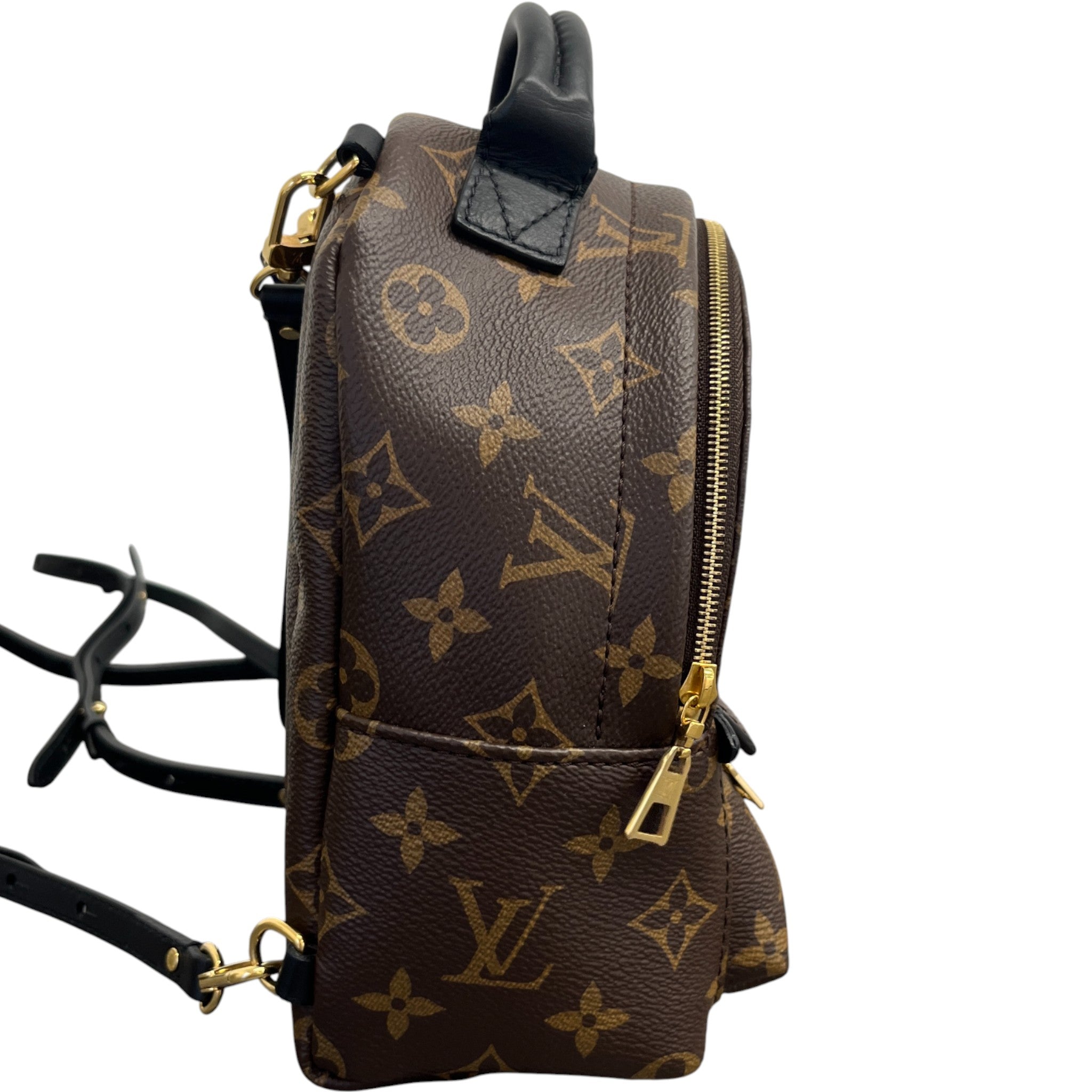 Women's Monogram Palm Springs Mini Backpack Brown
