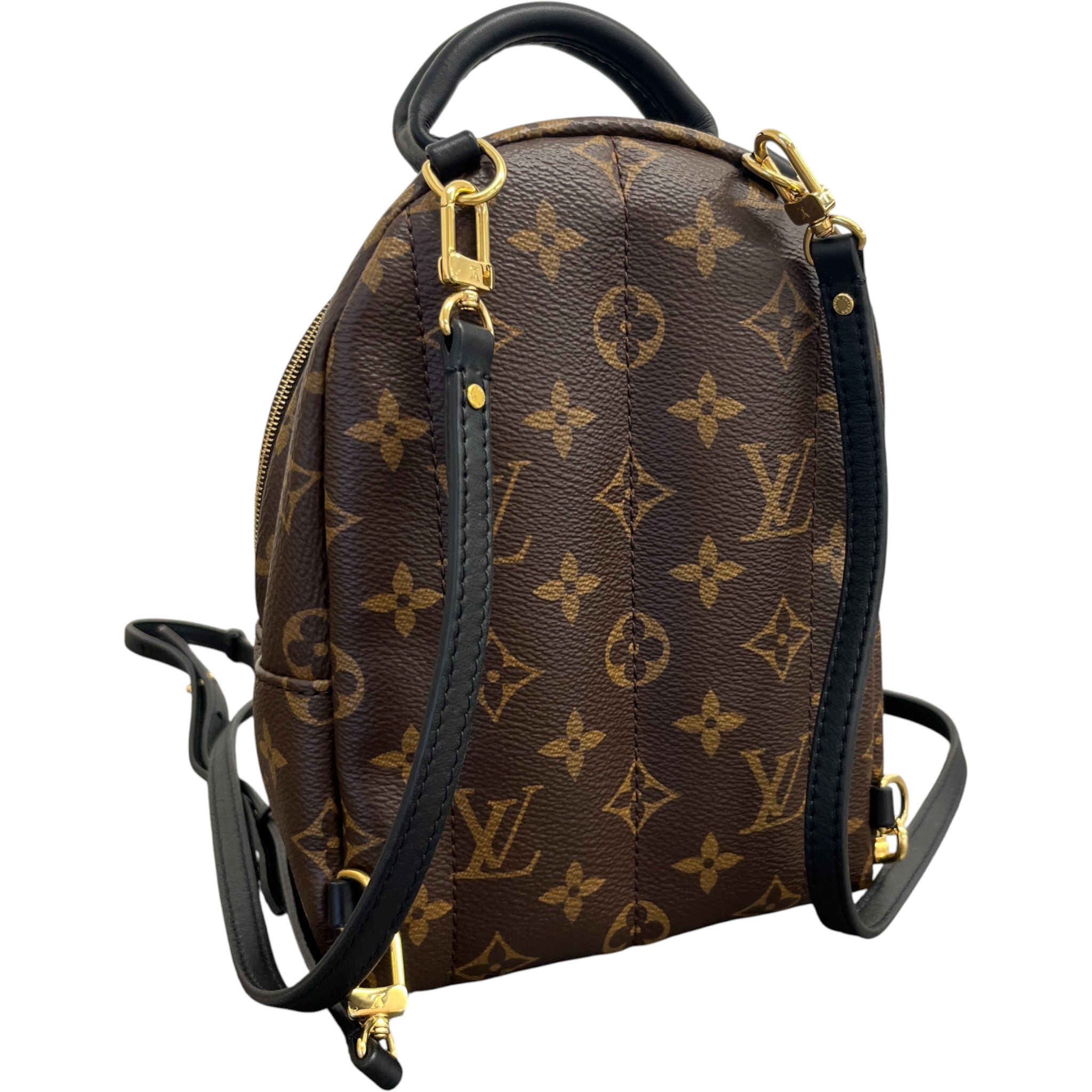Women's Monogram Palm Springs Mini Backpack Brown