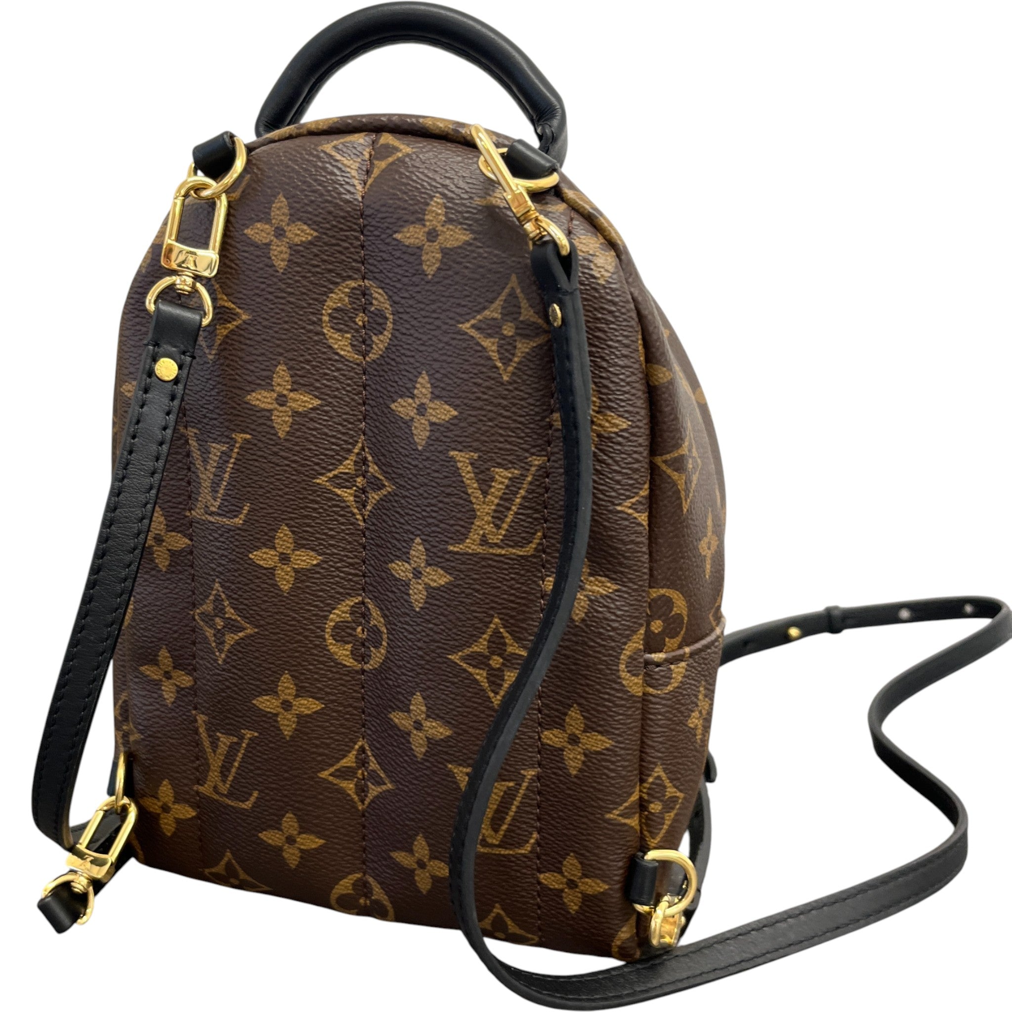 Women's Monogram Palm Springs Mini Backpack Brown