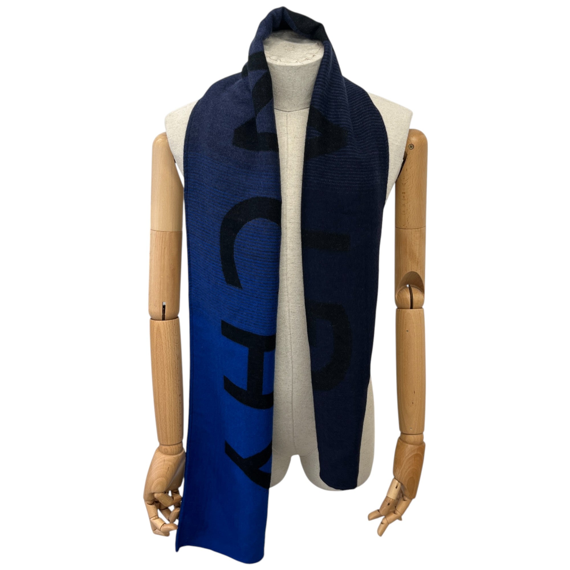 Men's Logo Print Scarf Blue
