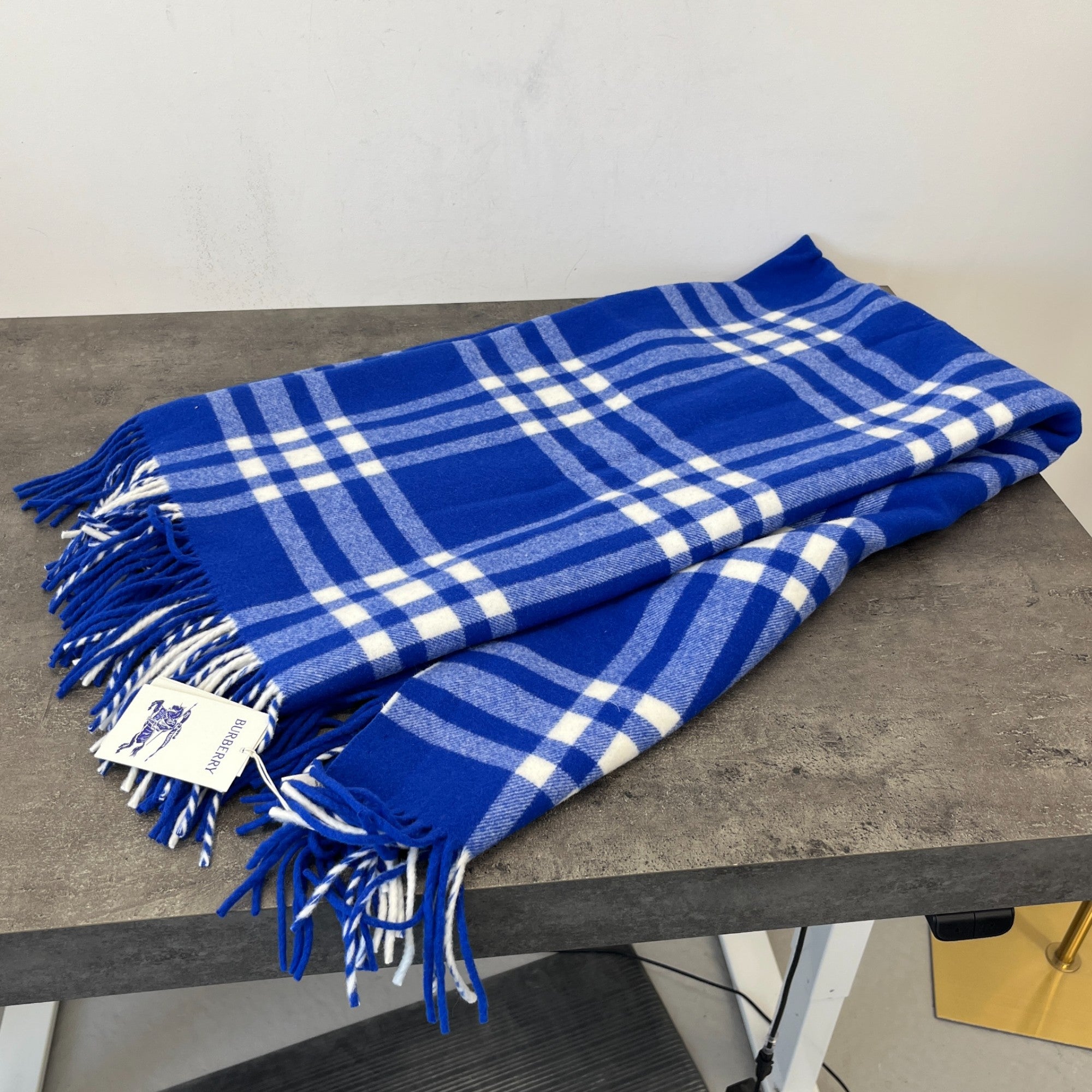 Men's Check Print Fringe Blanket Blue
