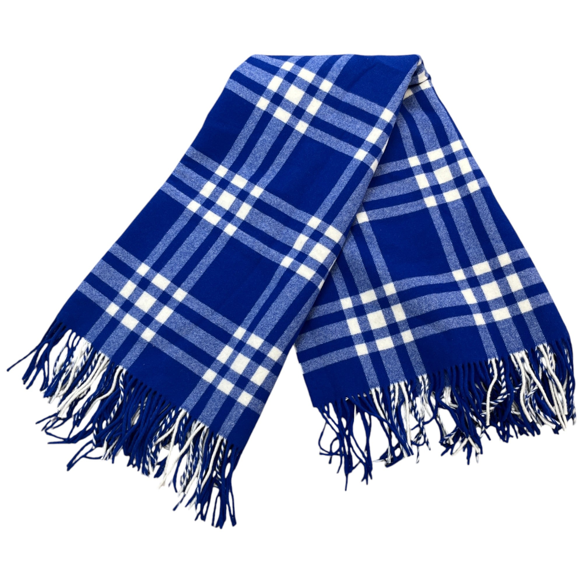 Men's Check Print Fringe Blanket Blue