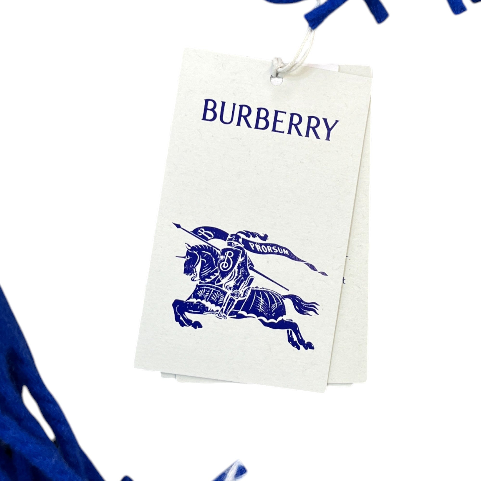 Men's Check Print Fringe Blanket Blue