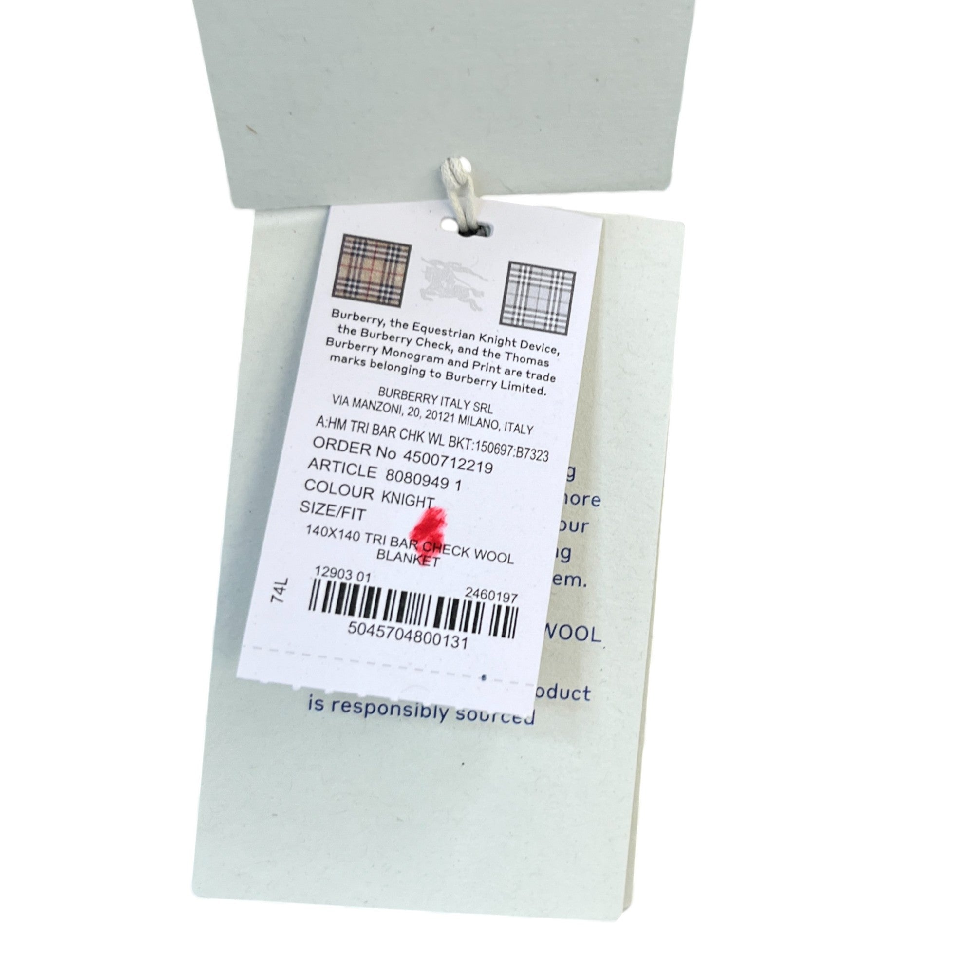 Men's Check Print Fringe Blanket Blue