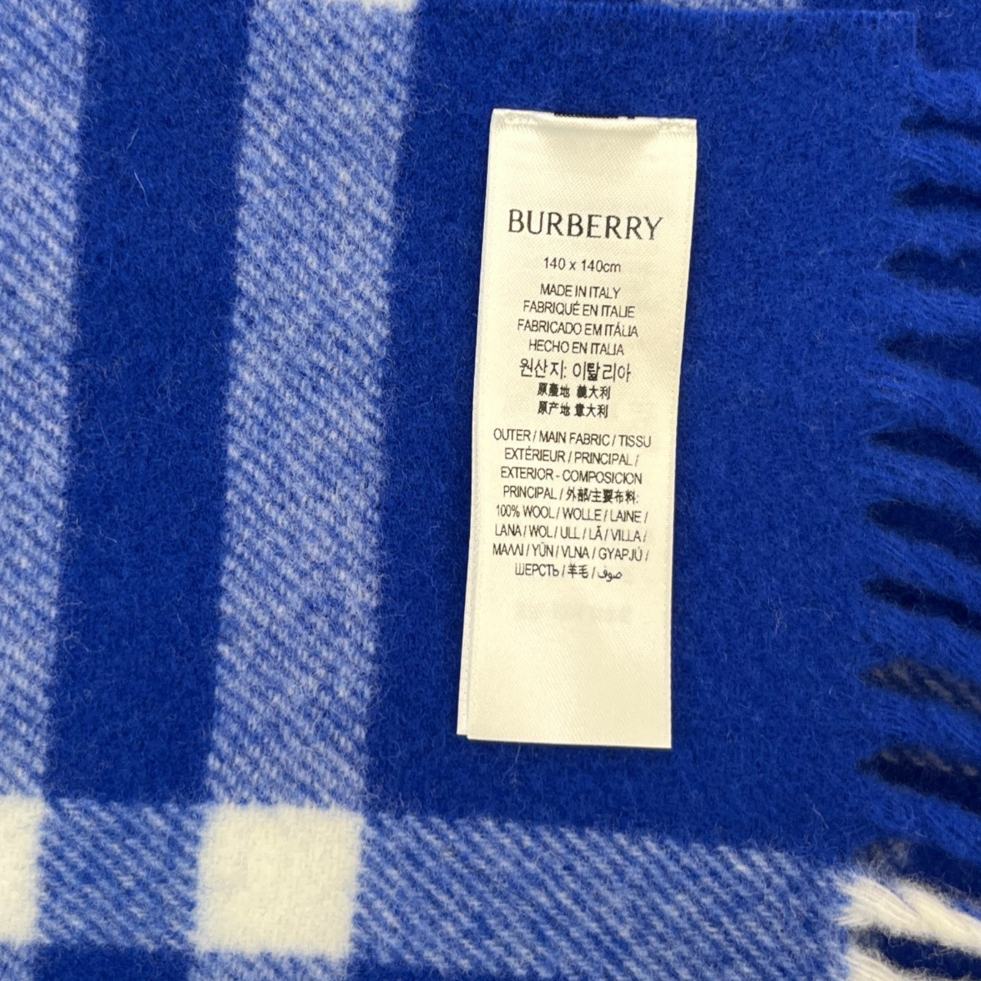 Men's Check Print Fringe Blanket Blue