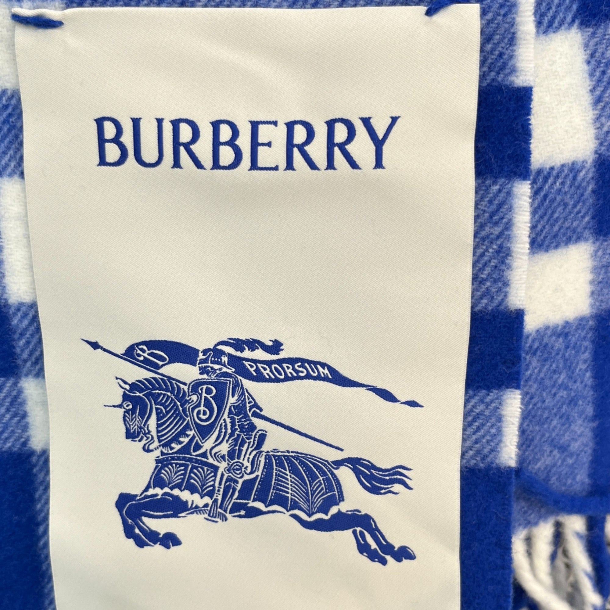 Men's Check Print Fringe Blanket Blue