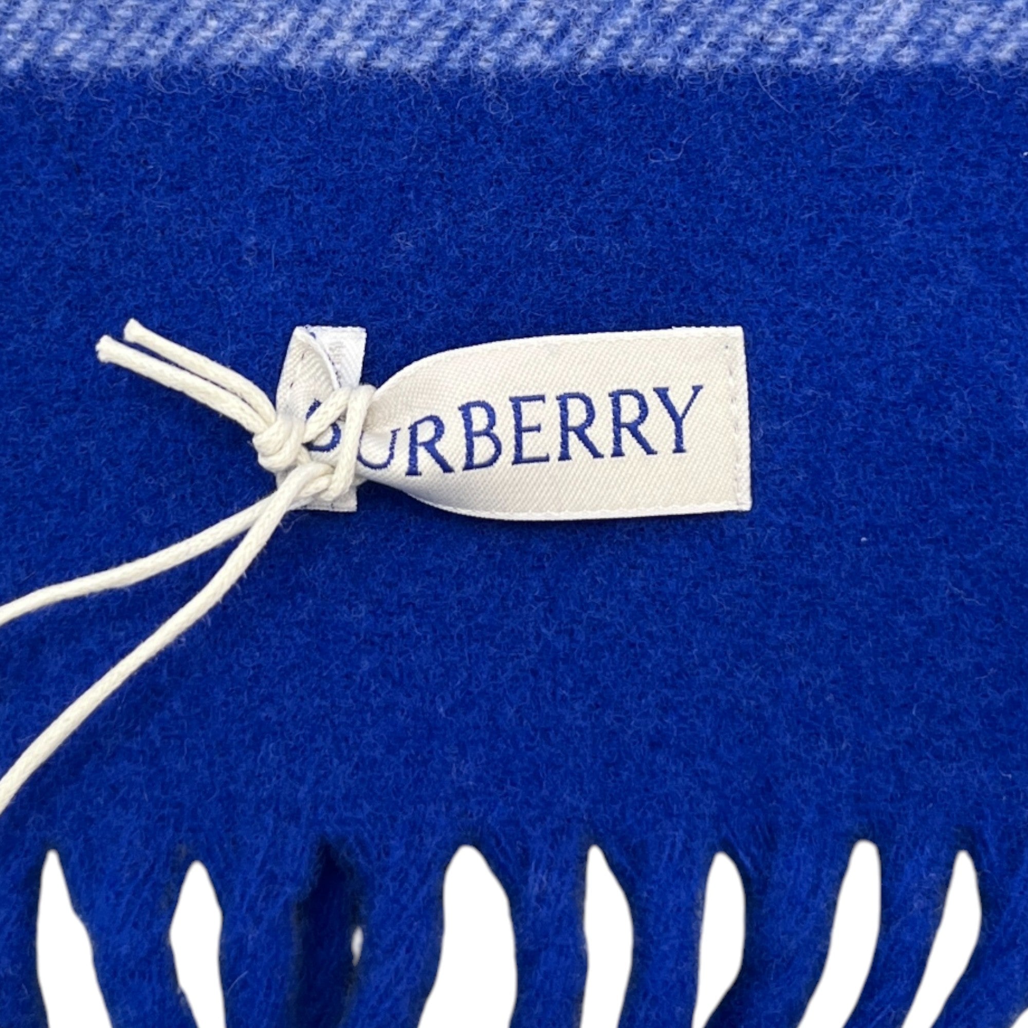 Men's Check Print Fringe Blanket Blue