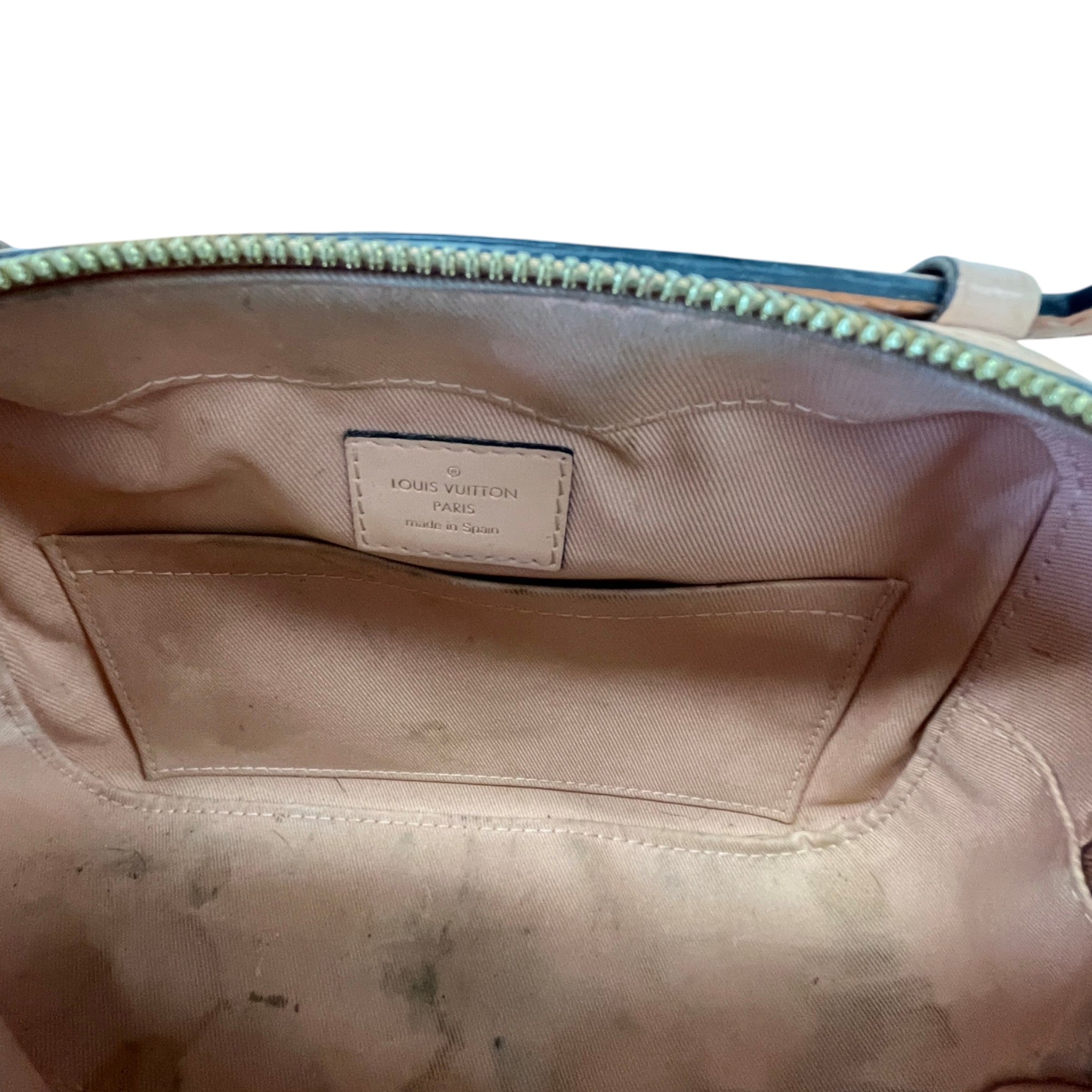 Women's Damier Ebene Santa Monica Bag Brown