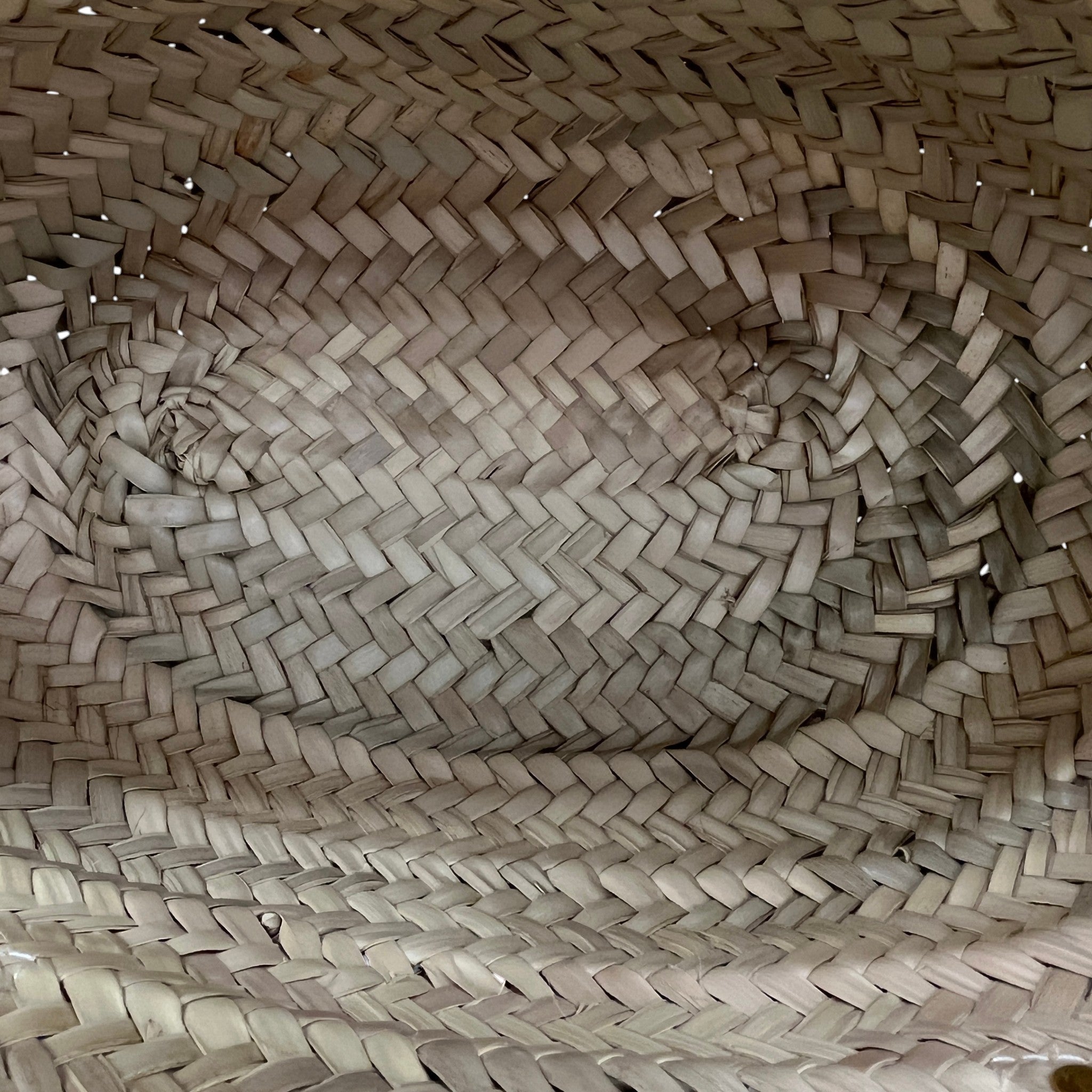 Women's Le Petit Panier Raffia Handbag Beige
