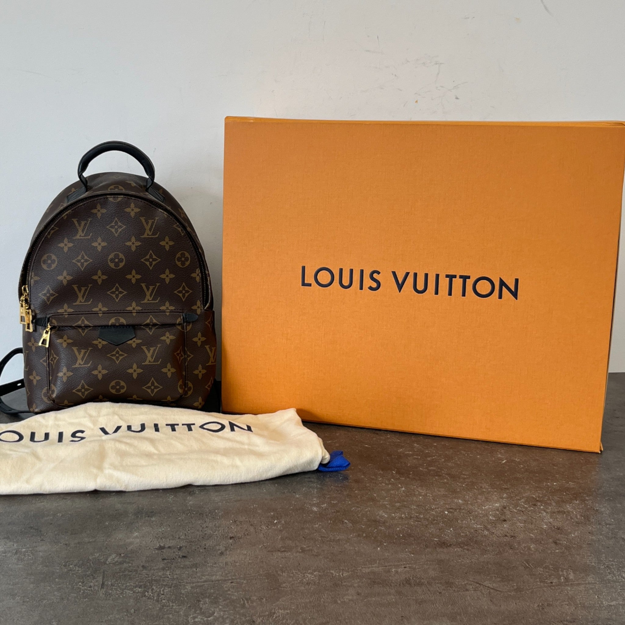 Women's Monogram Palm Springs Pm Backpack Brown