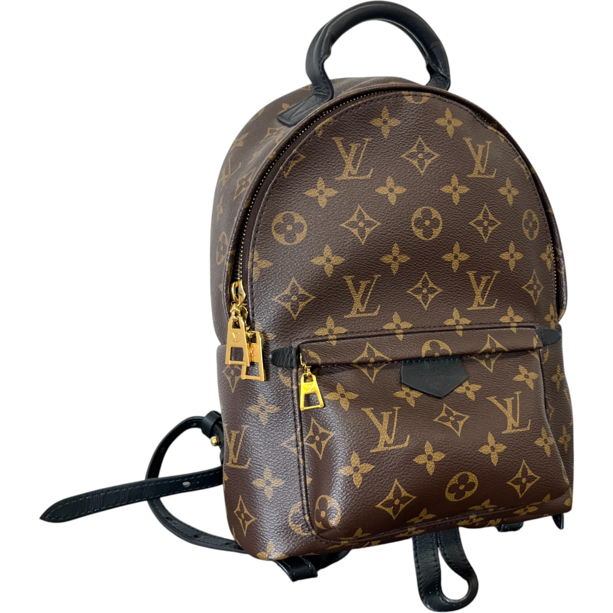 Women's Monogram Palm Springs Pm Backpack Brown