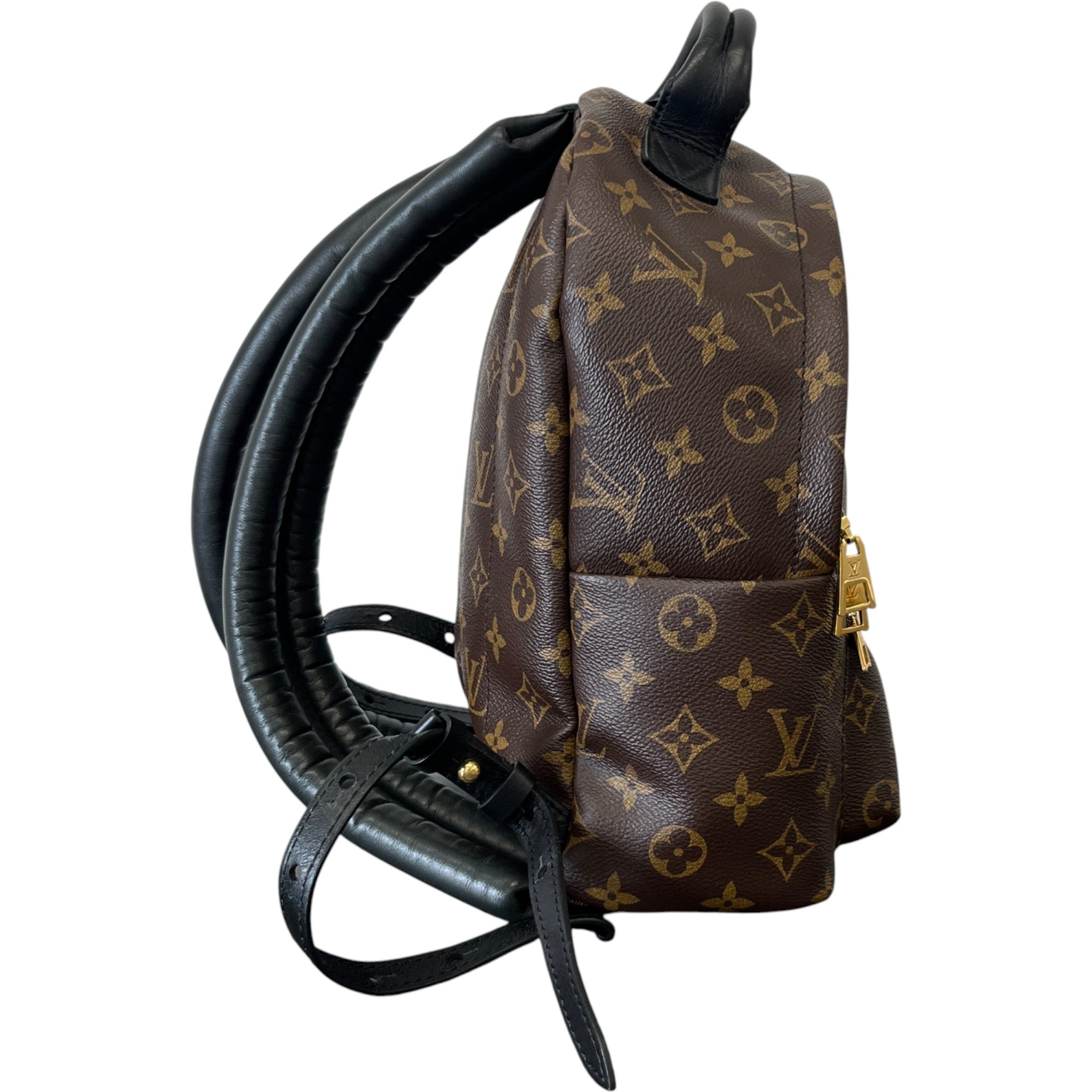 Women's Monogram Palm Springs Pm Backpack Brown