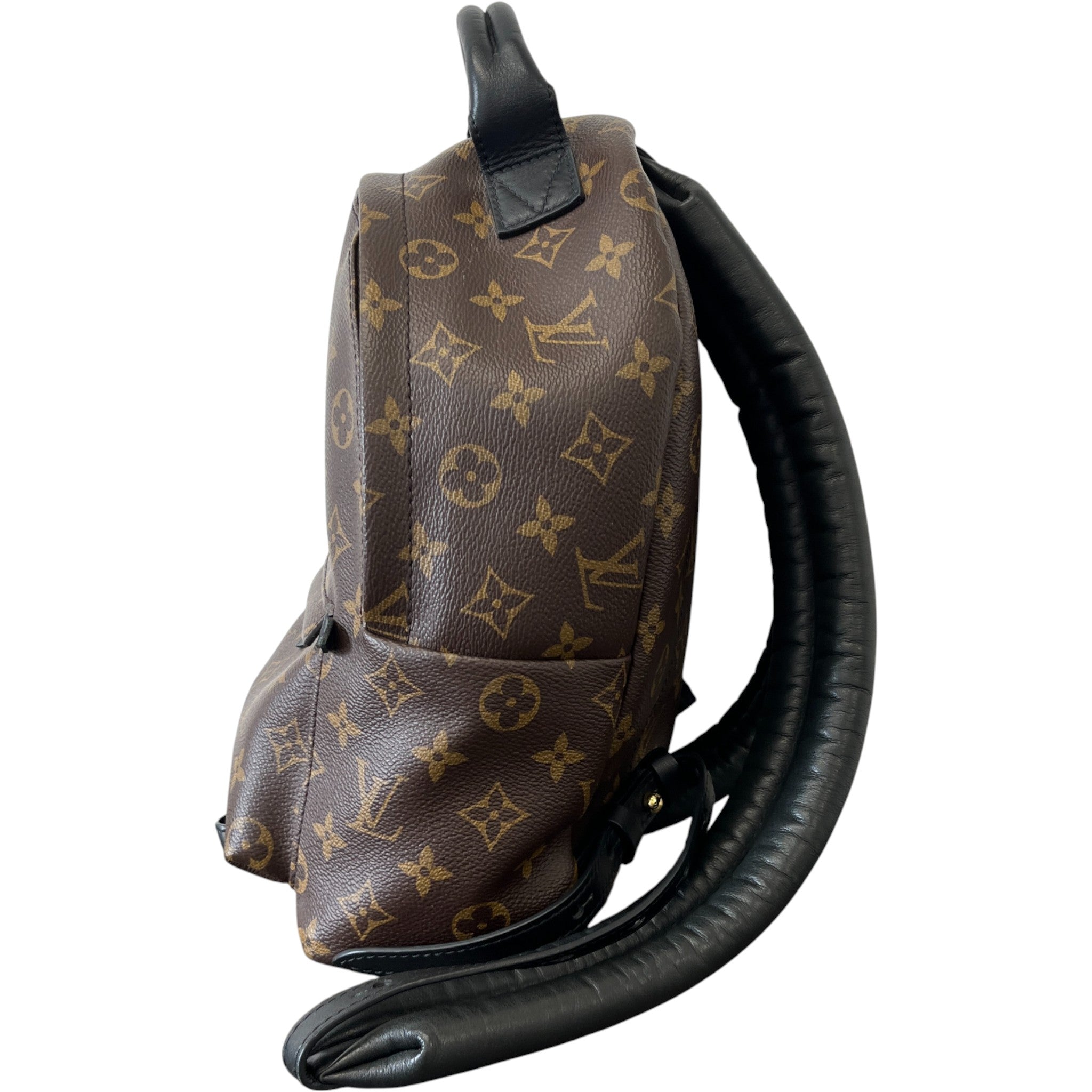 Women's Monogram Palm Springs Pm Backpack Brown