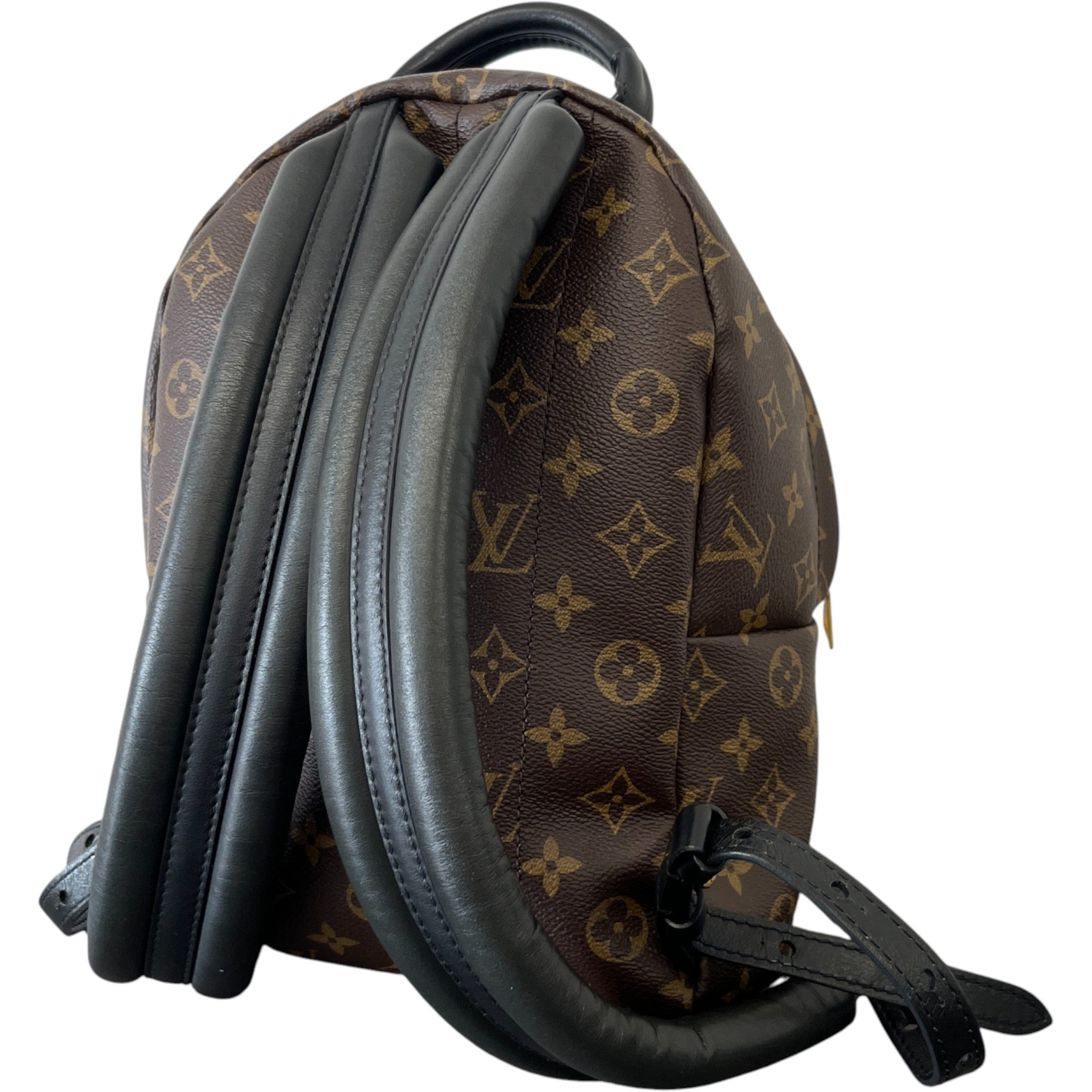 Women's Monogram Palm Springs Pm Backpack Brown