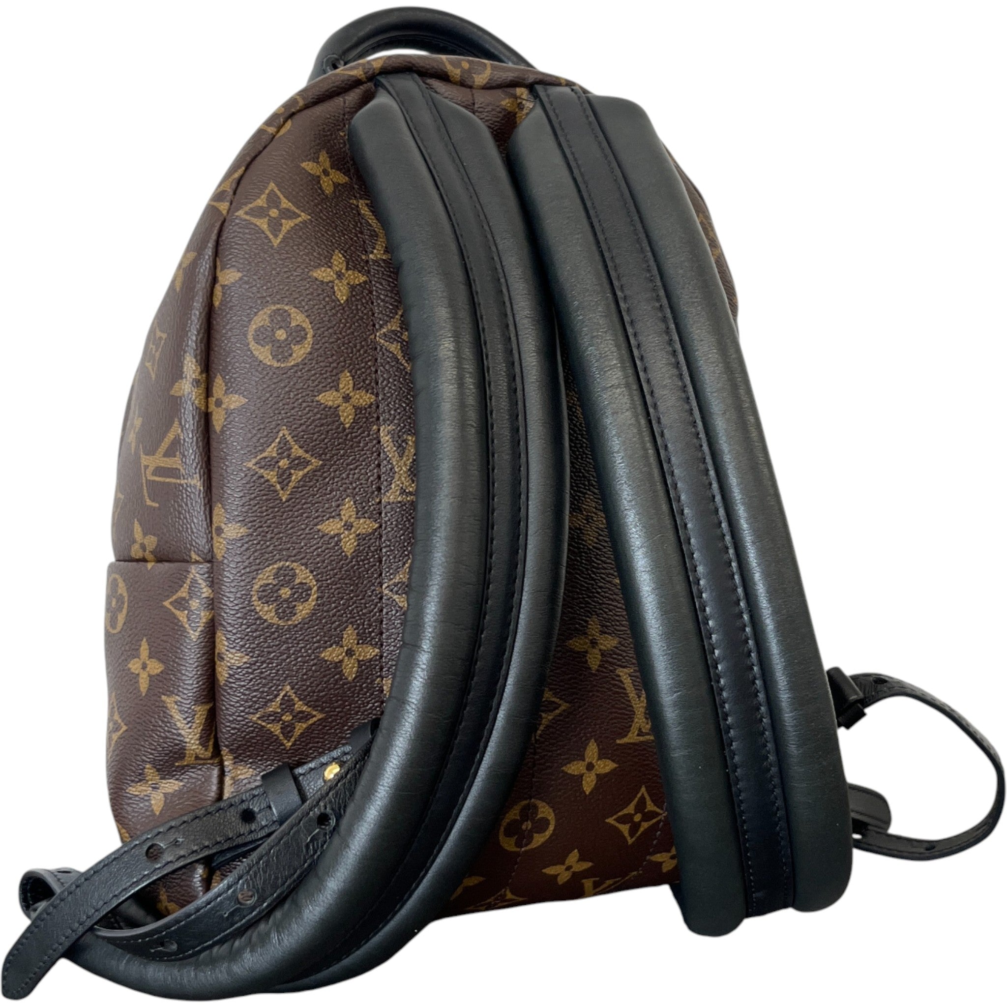 Women's Monogram Palm Springs Pm Backpack Brown