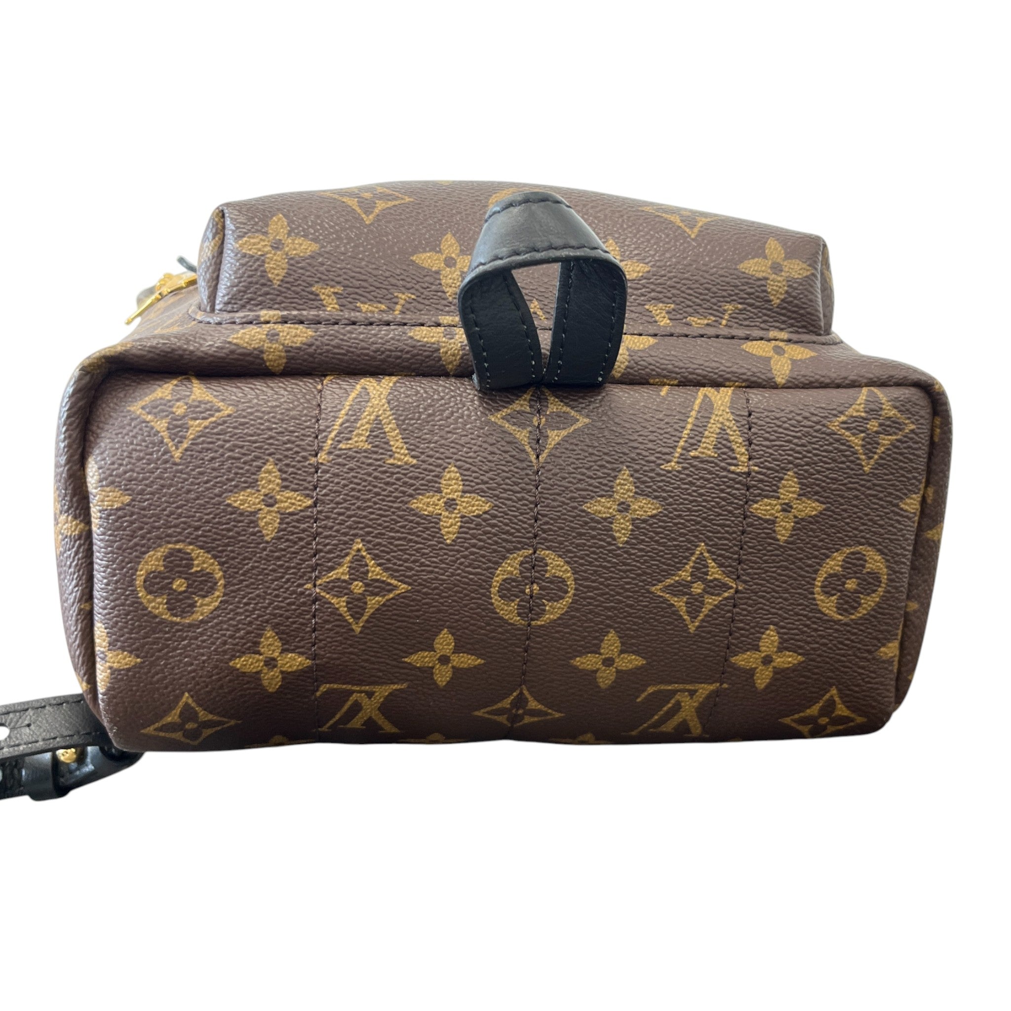 Women's Monogram Palm Springs Pm Backpack Brown