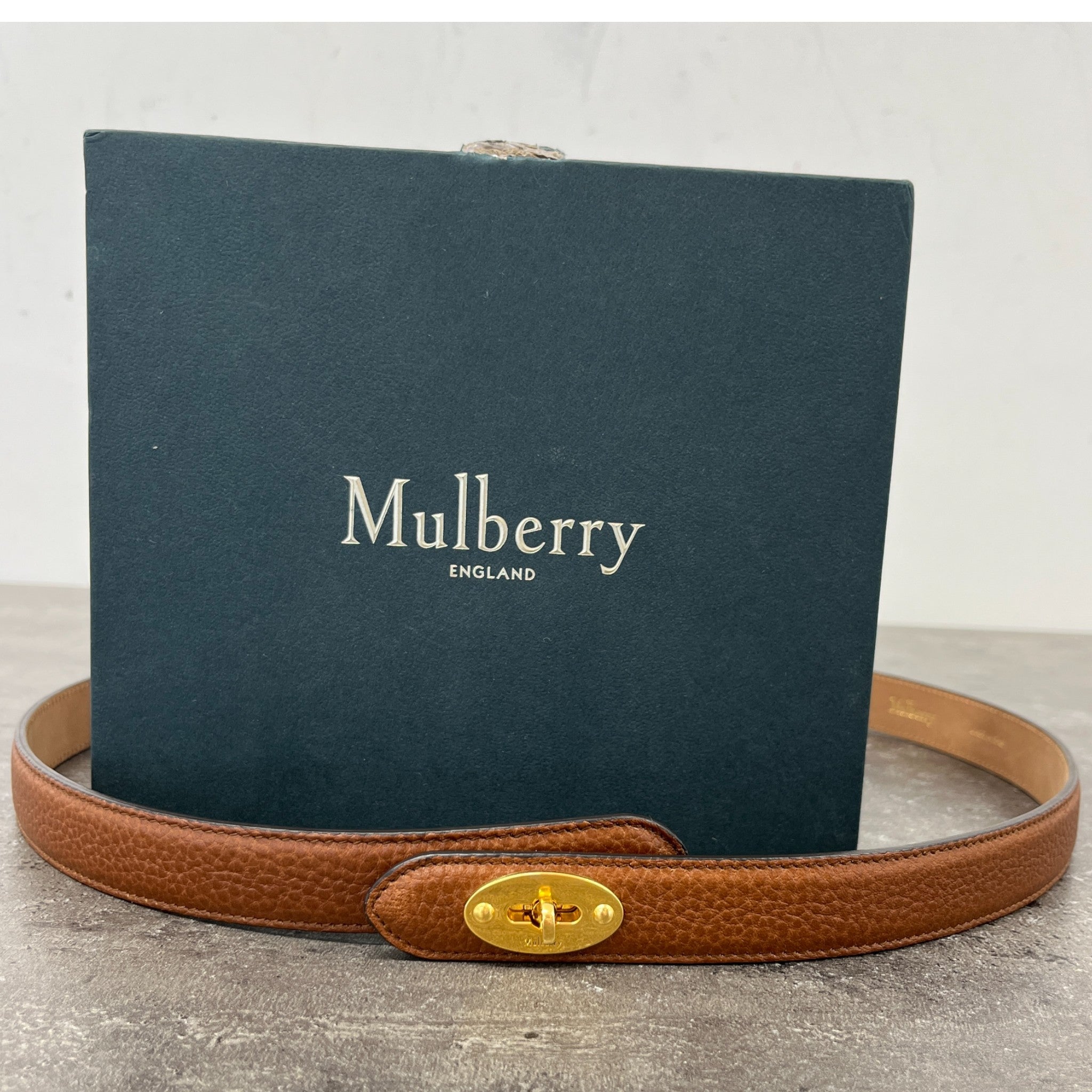 Women's Darley Belt Brown Size 90CM / UK 12